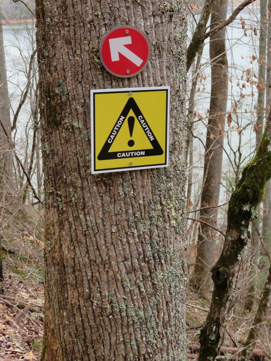 Is this a mountain bike or senior hiker warning?  Blind turn at the peak of a hill.