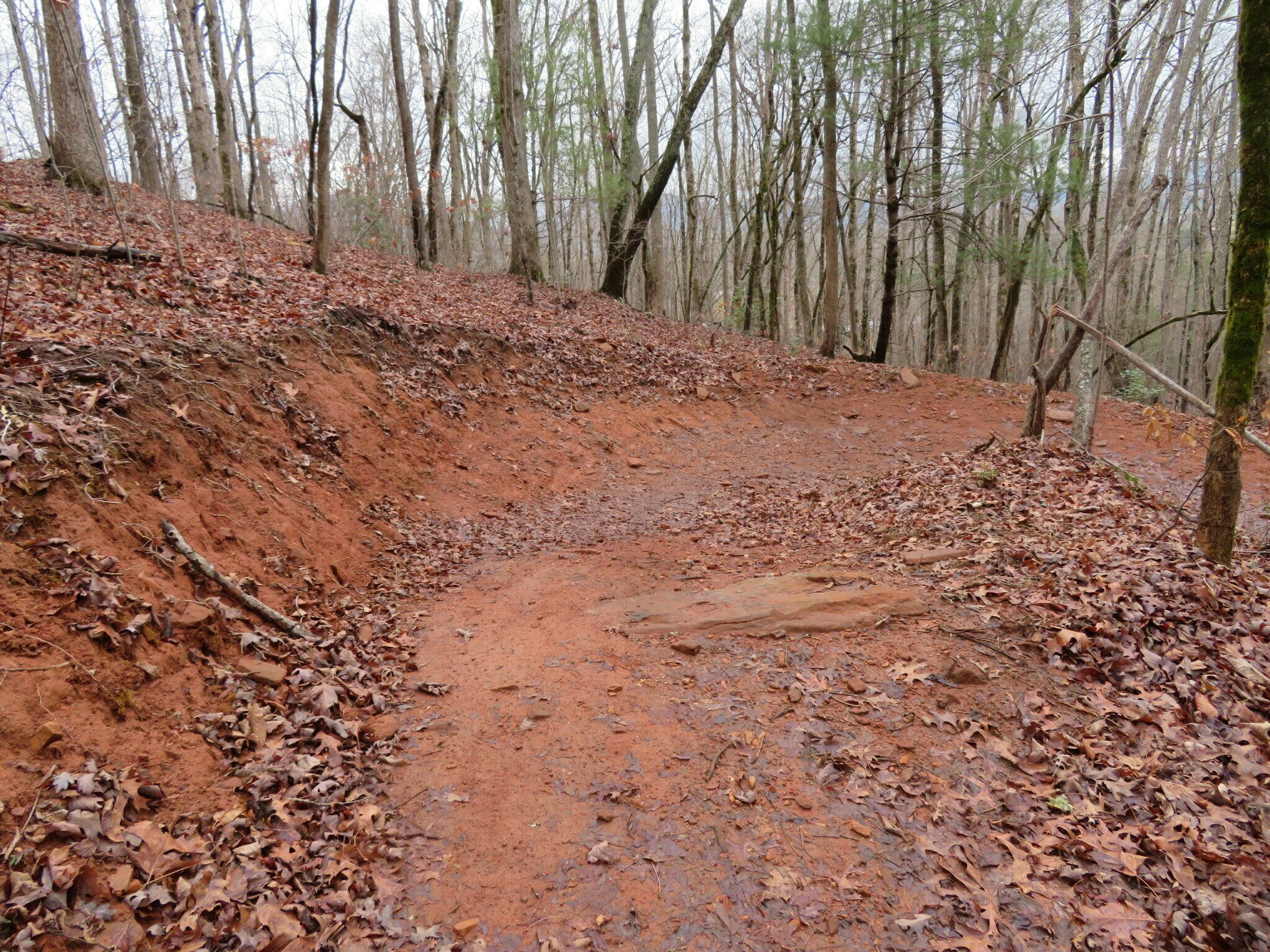 Typical bike trail condition and banked turn.  We had to slow Vic down on that curve!