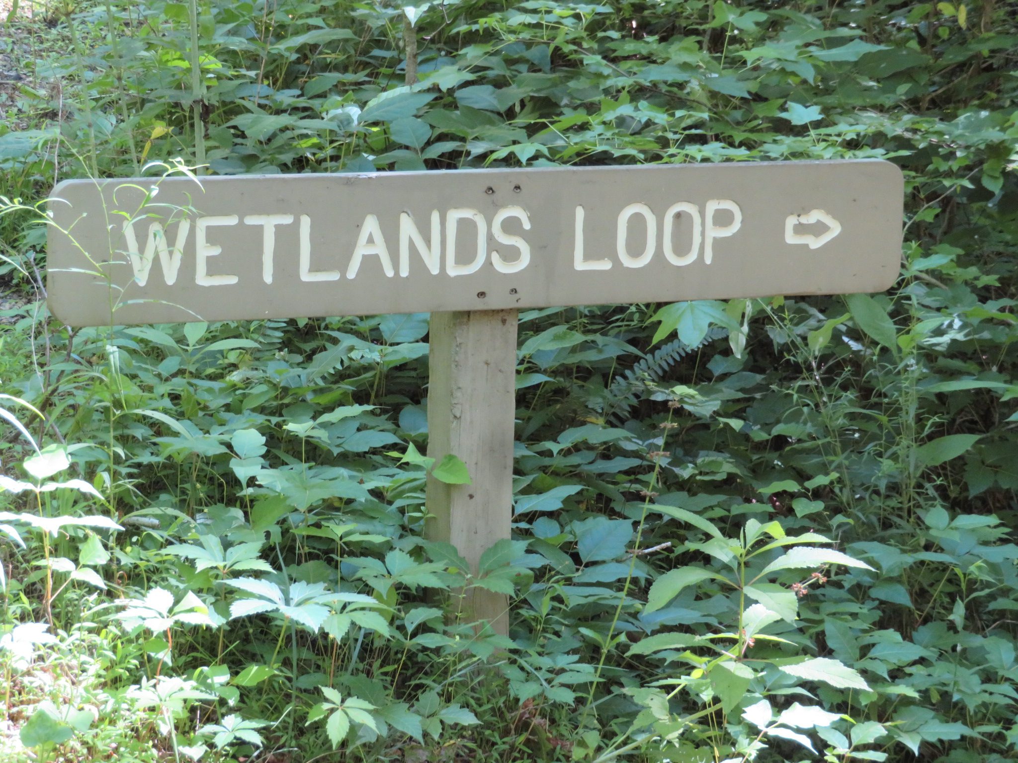 Let's see what's along this side trail.