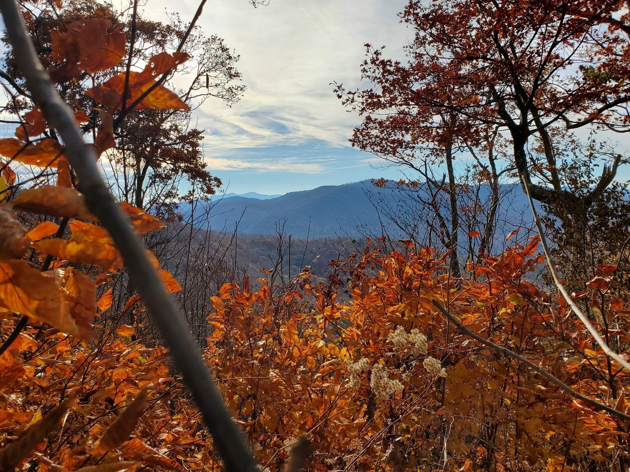 An early glimpse of the mountains to the south from the Bartram Trail.