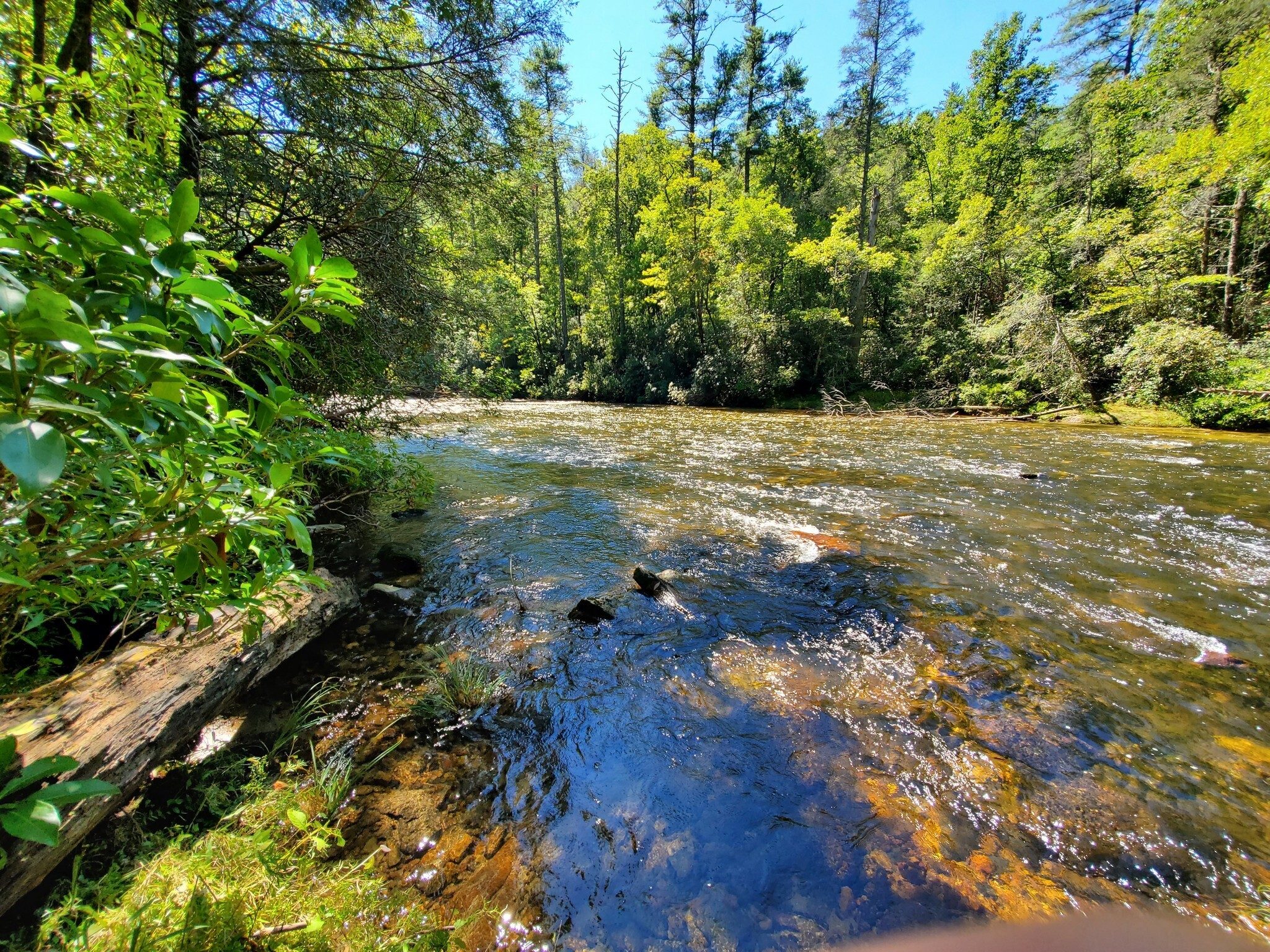 Looking downstream along the Chattooga River..