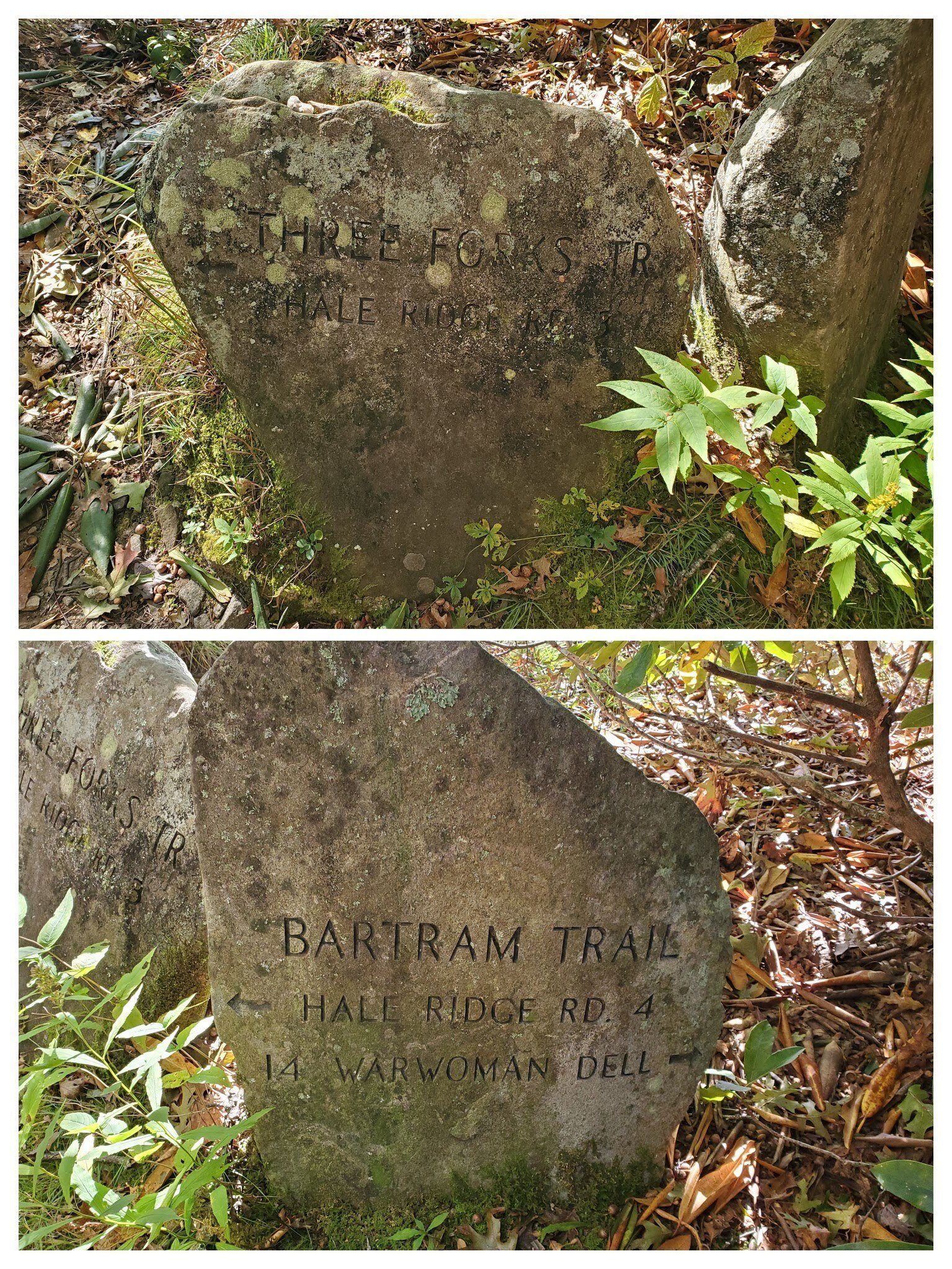 Very nice stone trail markers atop Rabun Bald.