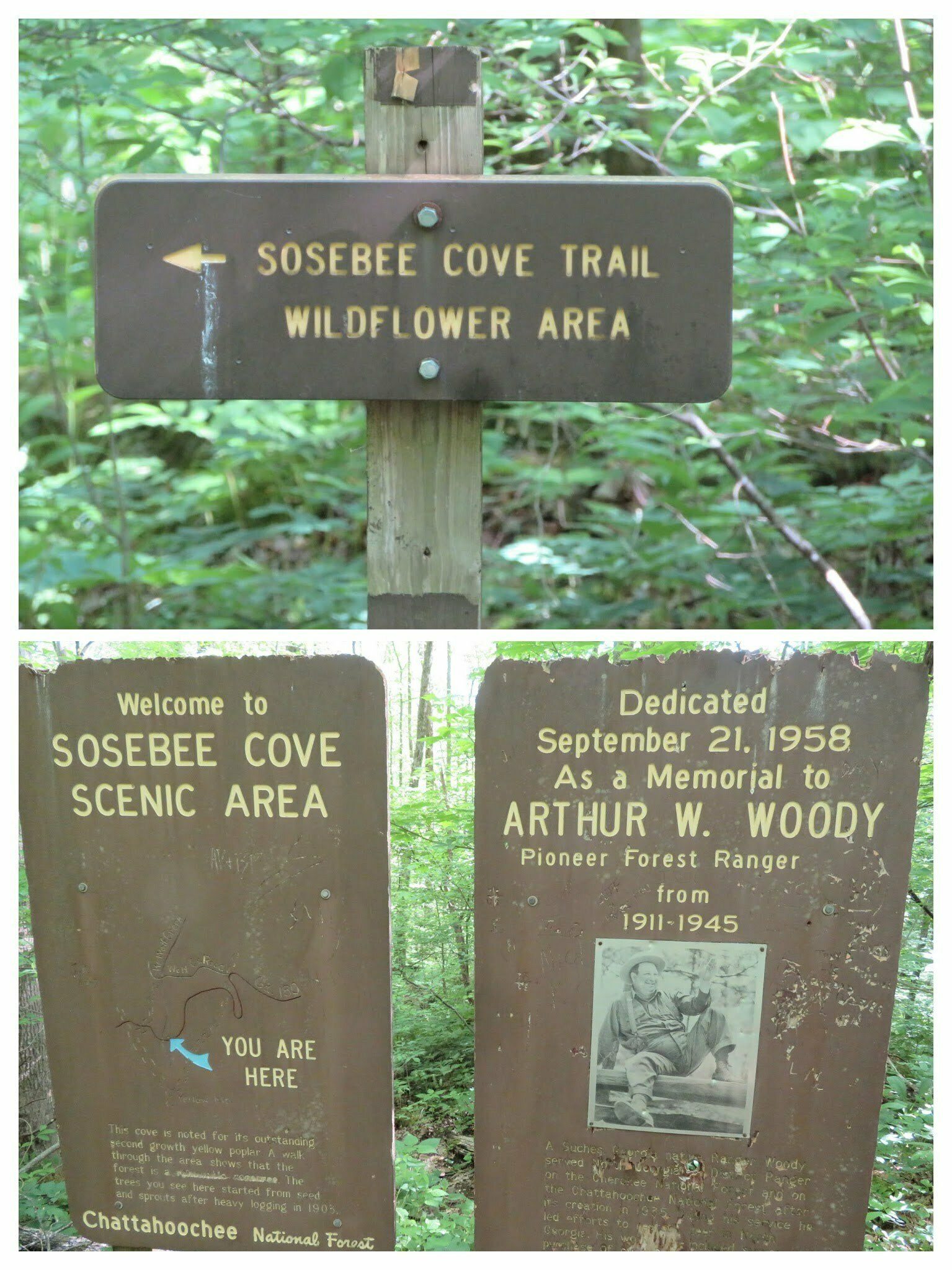 Sosebee Cove, first stop.