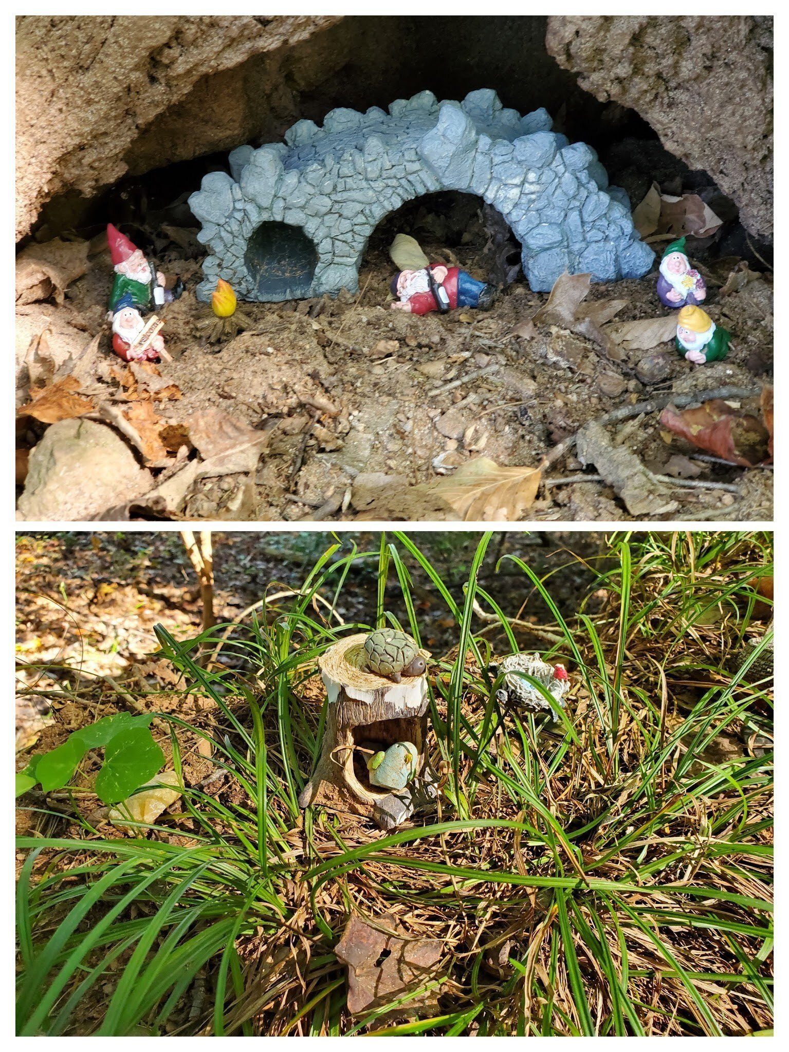 We found a couple of well done settings of gnomes on our path.