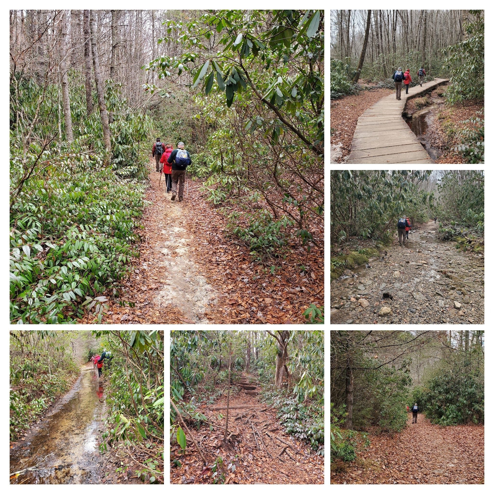 All sorts of trail conditions on the hike today. . . . most pretty good.