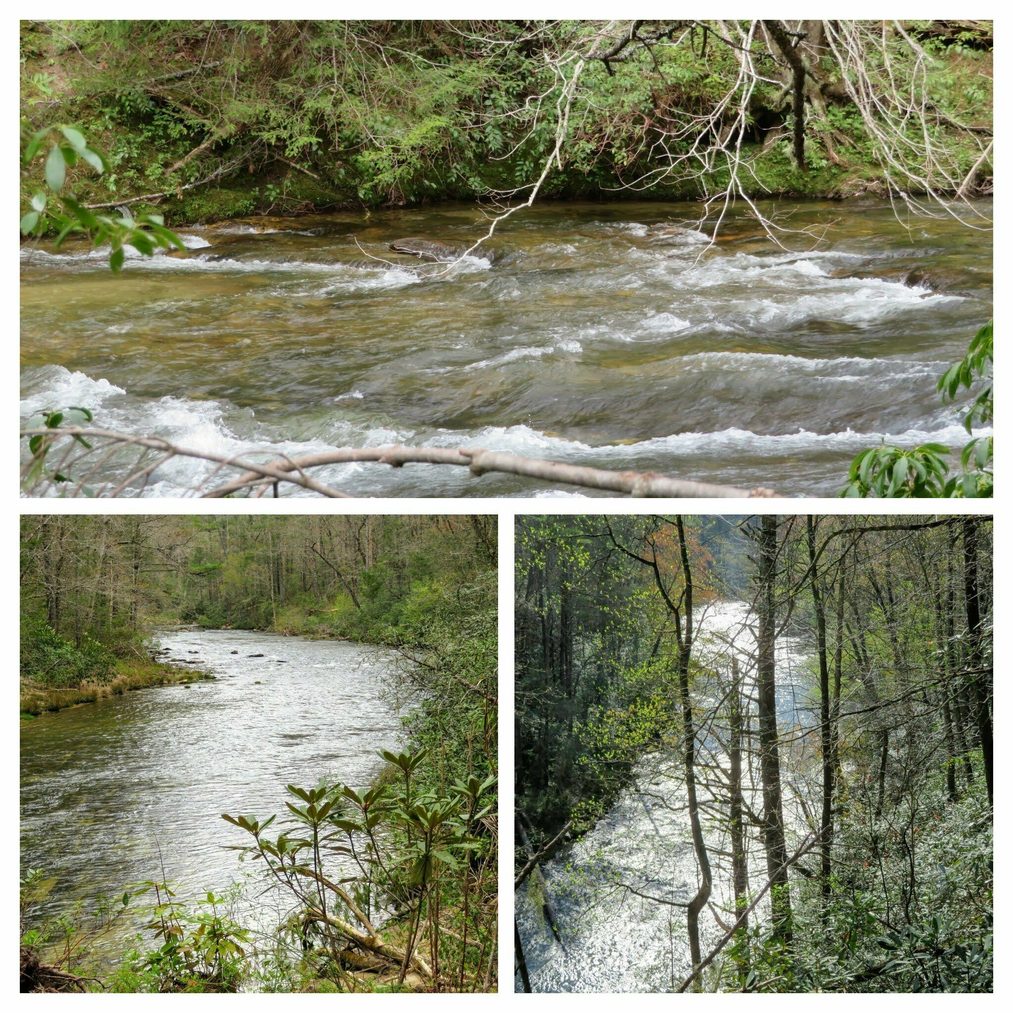 Scenes along the Chattooga River.