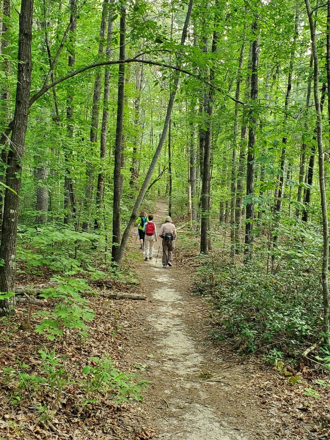 The first section of the trail was quite nice.