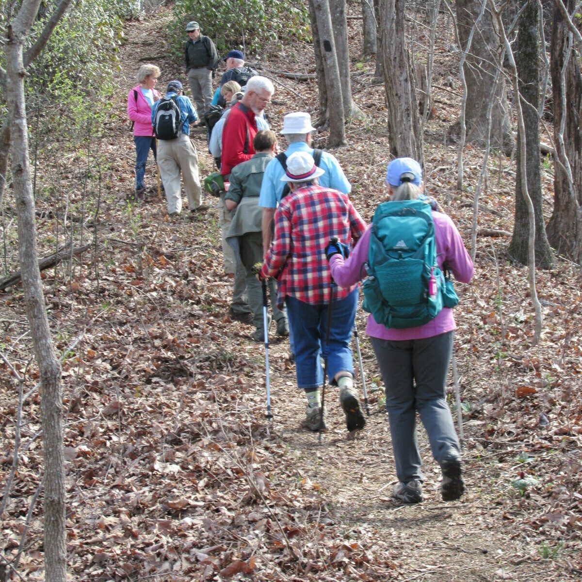 A nice and easy trail for the first half of the hike.