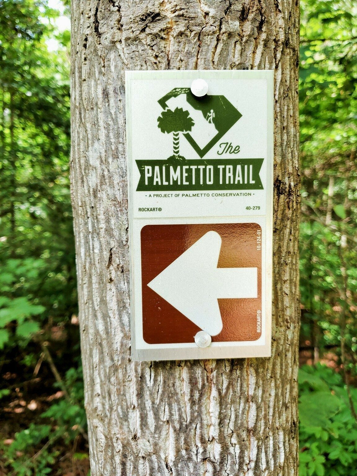 We finally crossed over onto the return leg of the hike on the Palmetto Trail.
