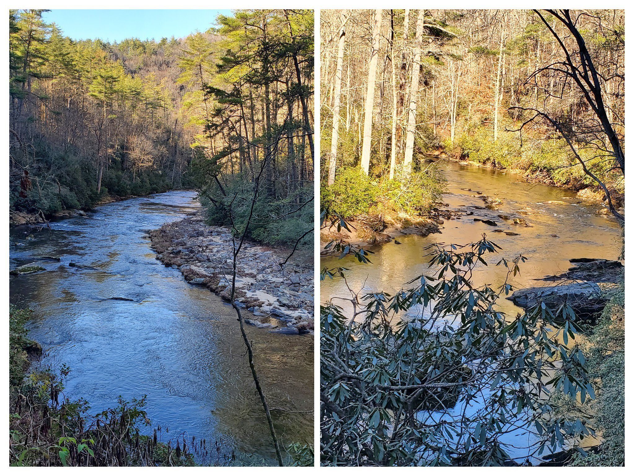 More views along the Chattooga River.