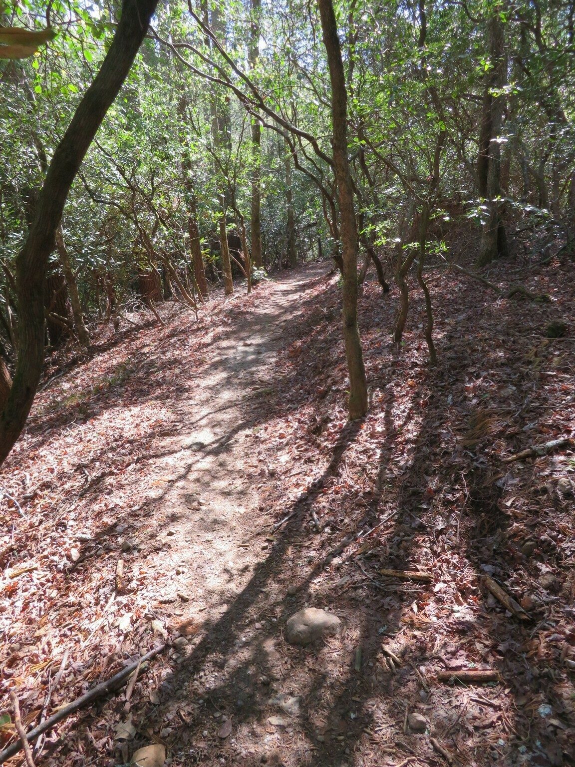 Nice trails.