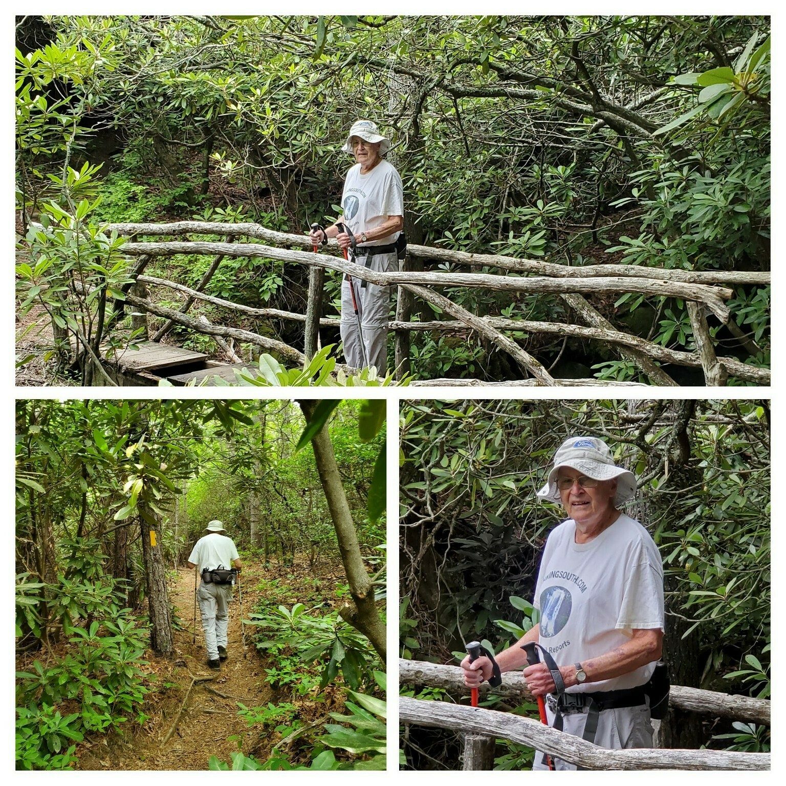 Good to see Dick, our most senior hiker, with us today . . .  you, too Vic