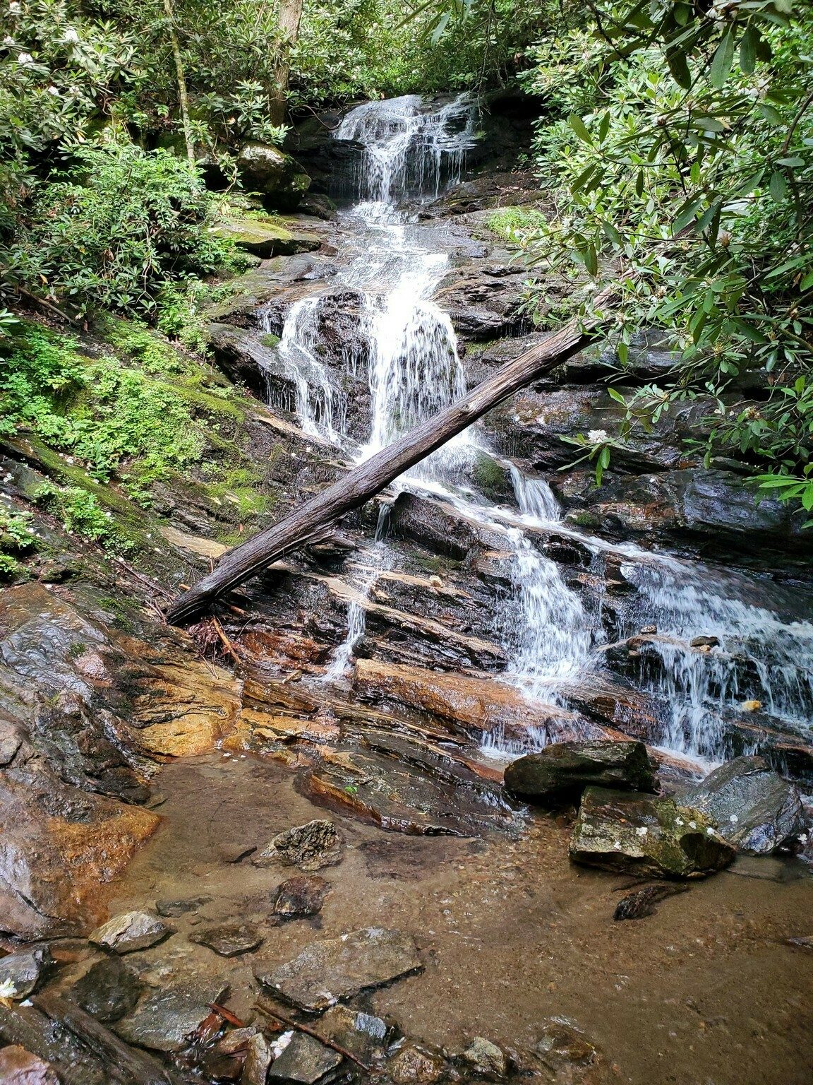 Becky Branch Falls was nice, but required crossing it without the usual bridge which had been removed.