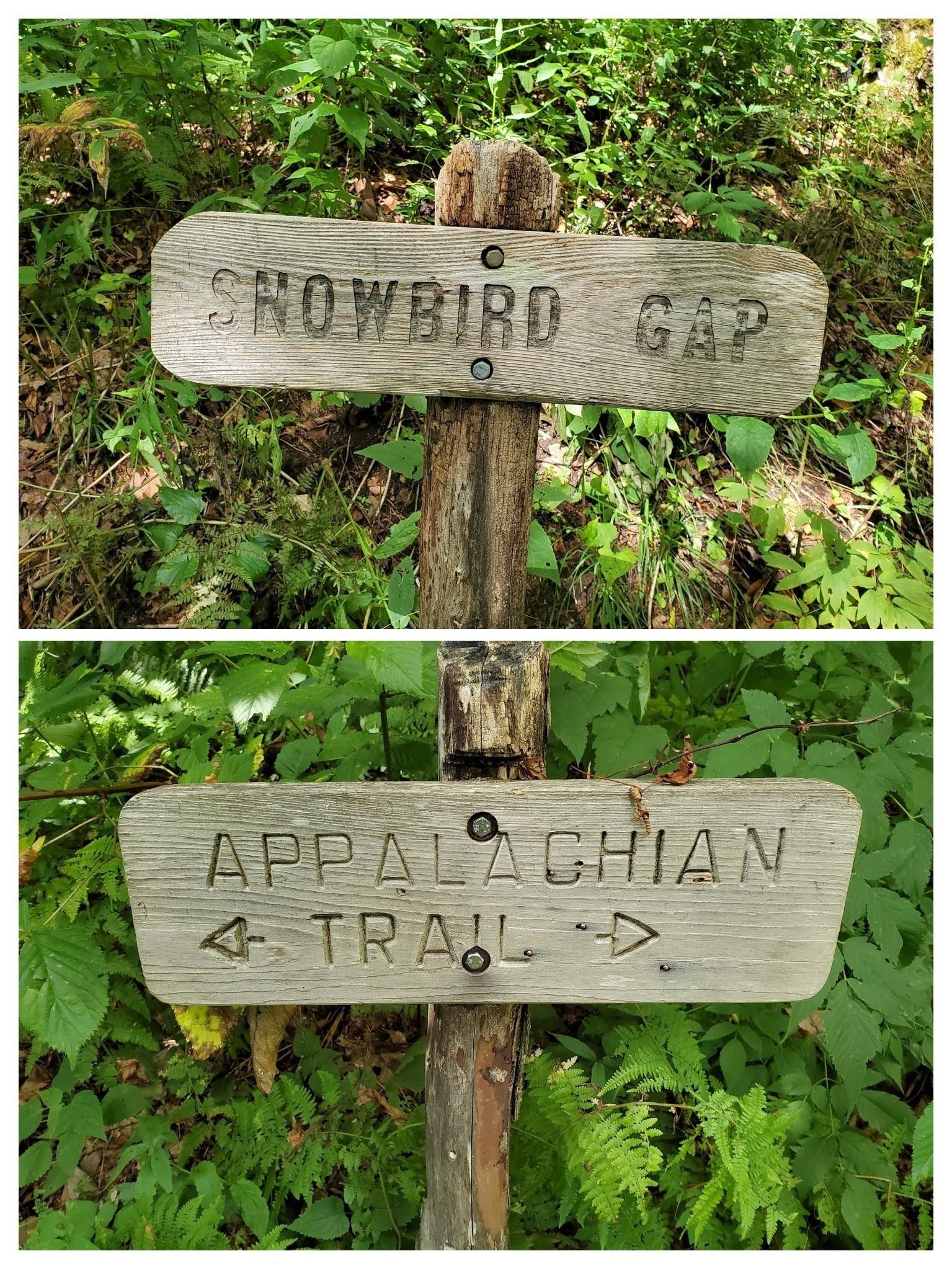 Trail signs along the way.