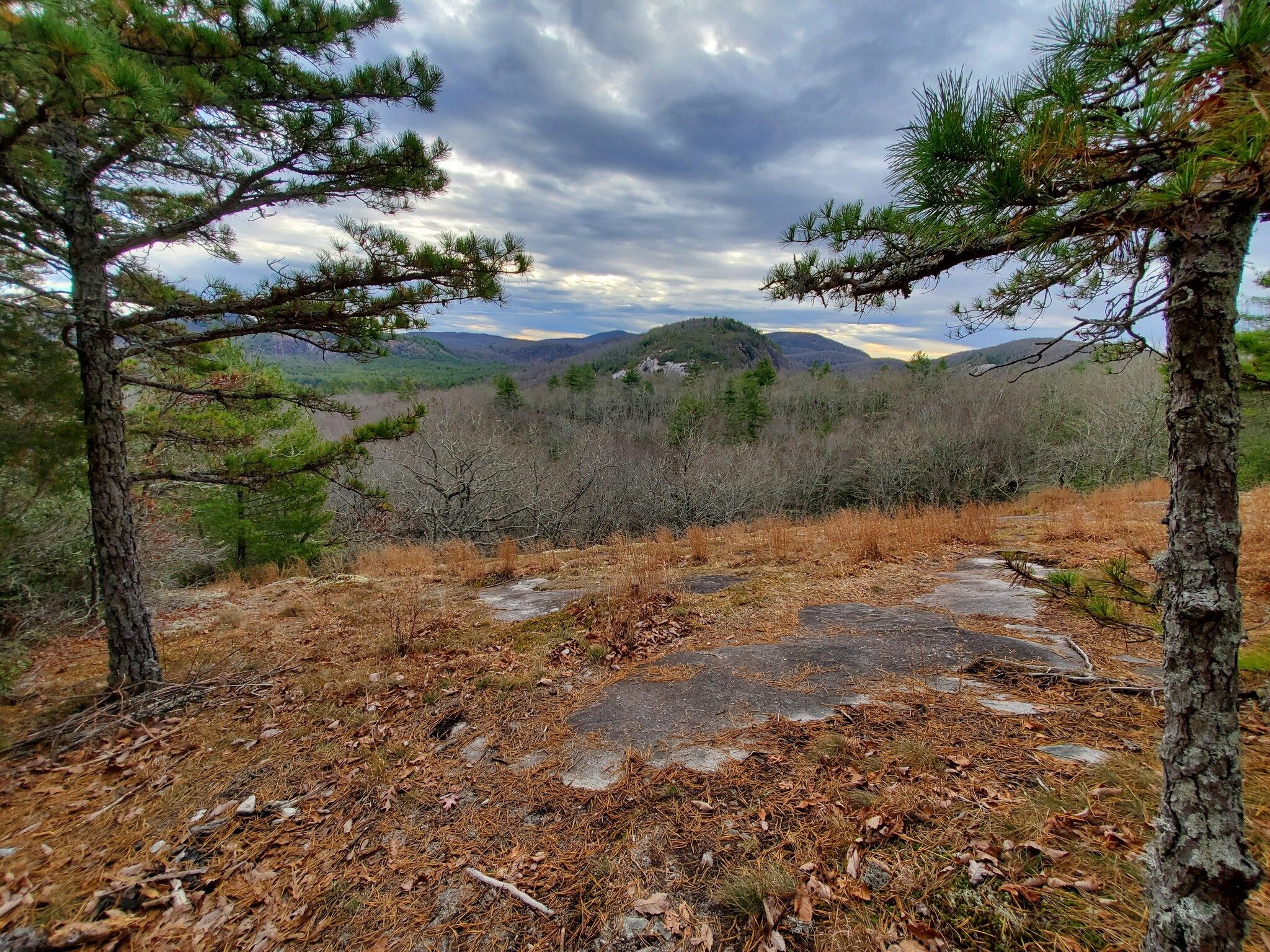 A view to the north from Salt Rock Gap overlook near the start of the hike.