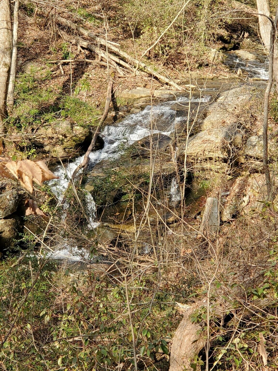 Trailside Falls - The first of three small falls along the trail.