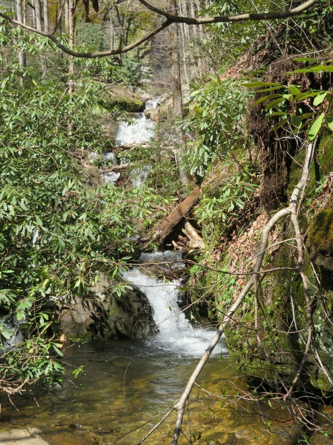Initial view of Raven Cliff Falls from the base of the many cascades leading from it.  Doesn't look like much at this point.