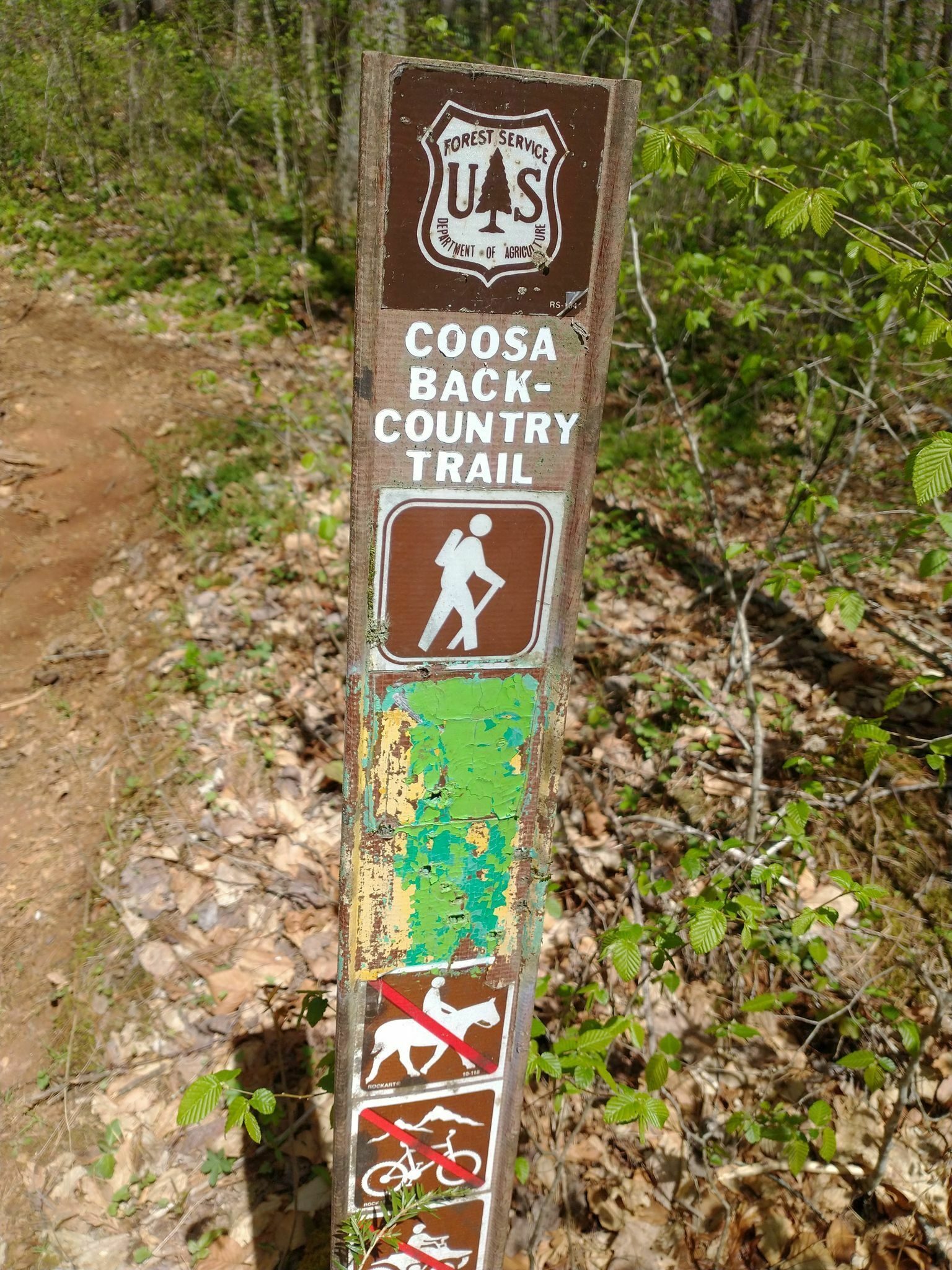 Our second trail today.