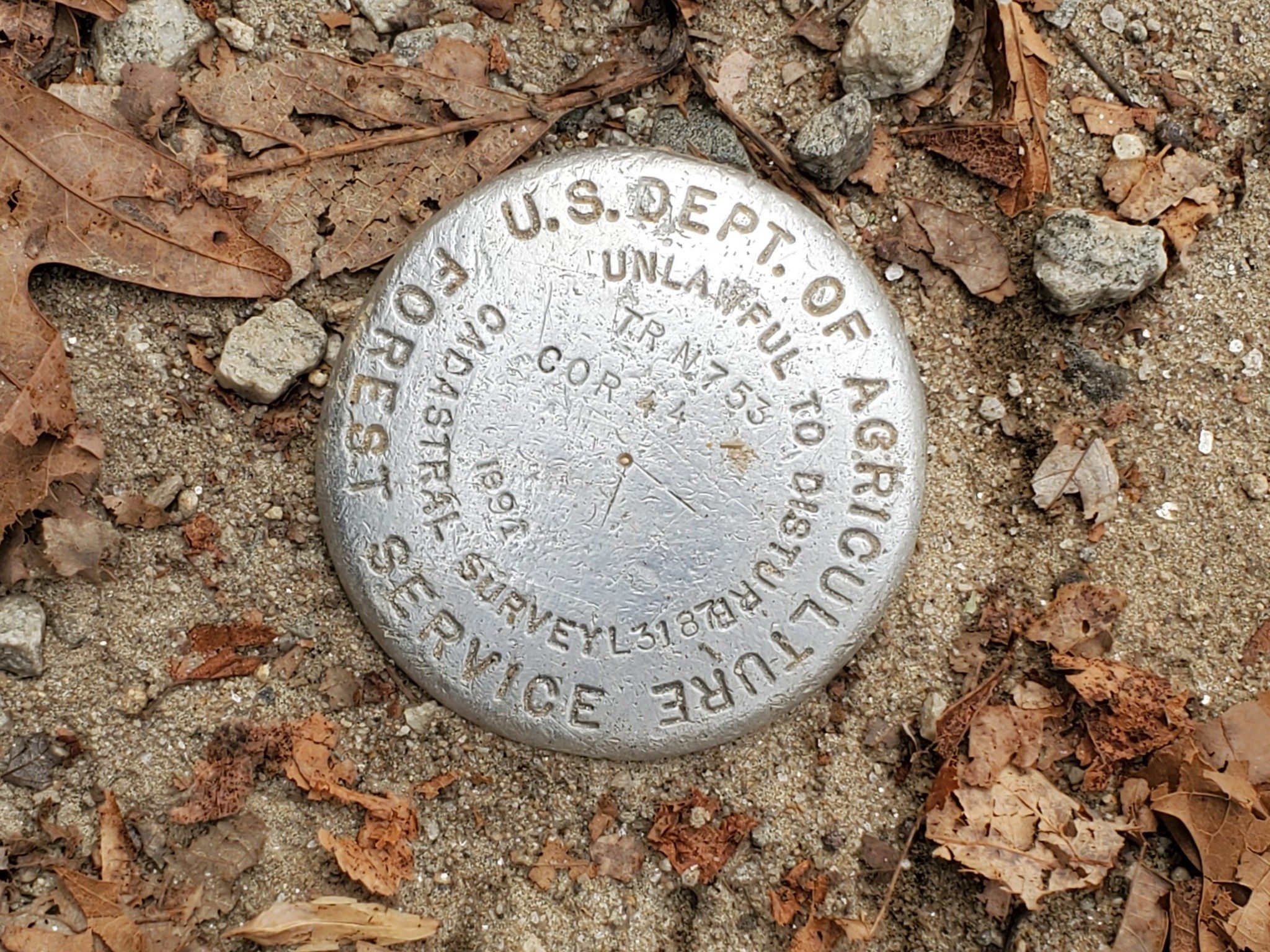 A curious survey marker in the middle of the trail.