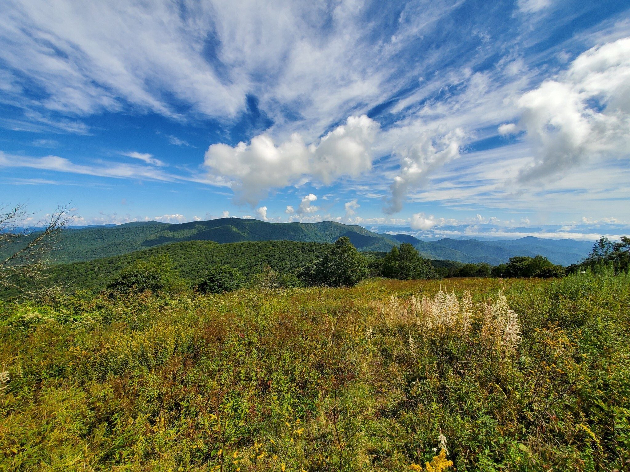 Great views to the north!