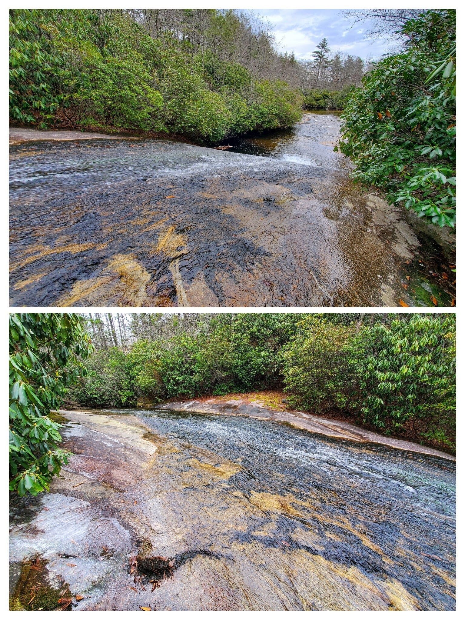 Panthertown Creek just above Granny Burrell Falls.