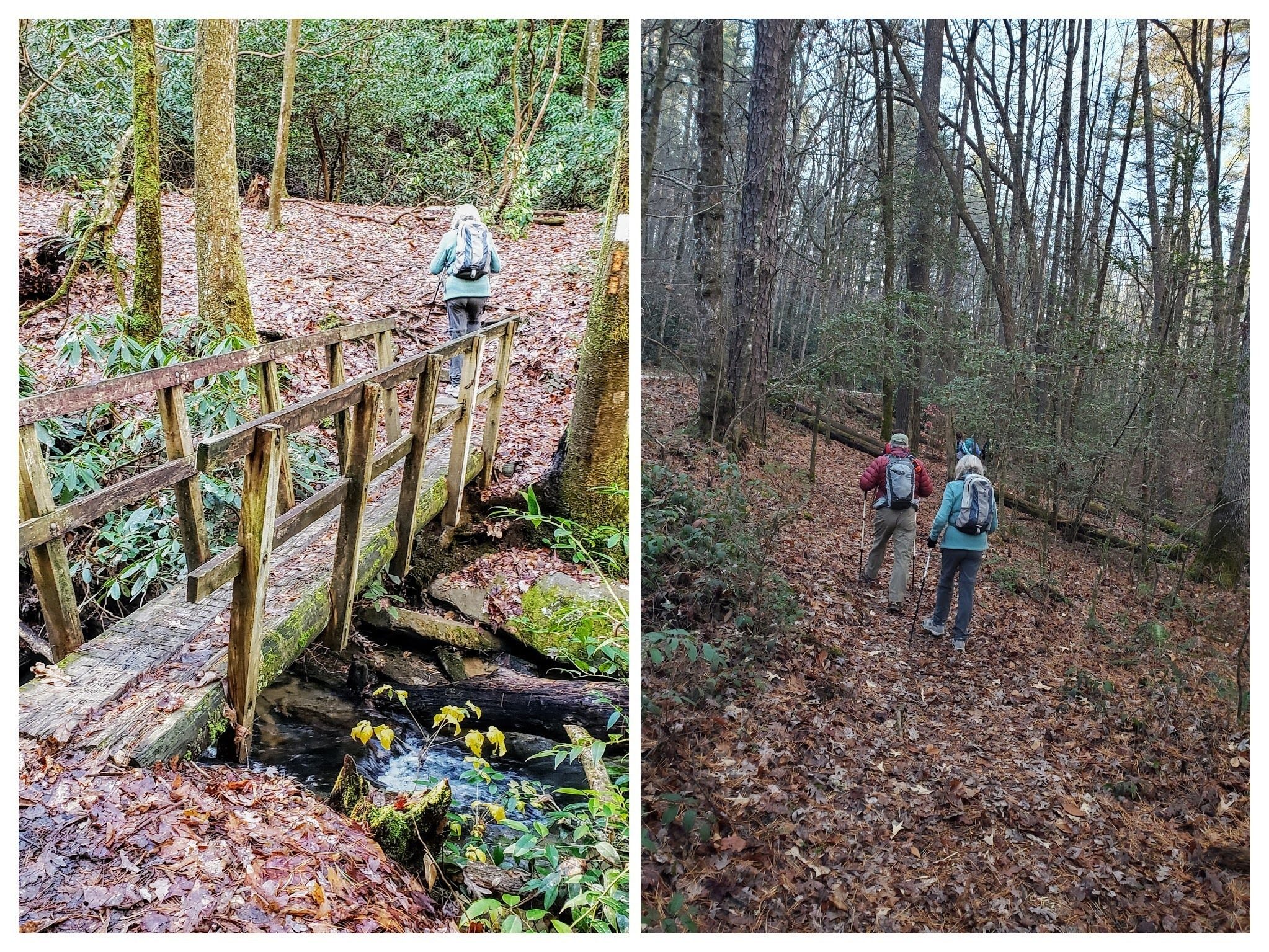From the trailhead, the first part of the trail is quite good.