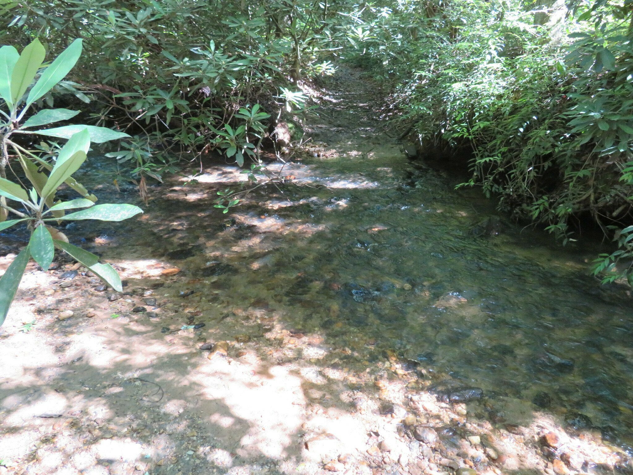 More Ash Creek to cross. . .a bit more shallow this time. . looks more like a trail from this angle.