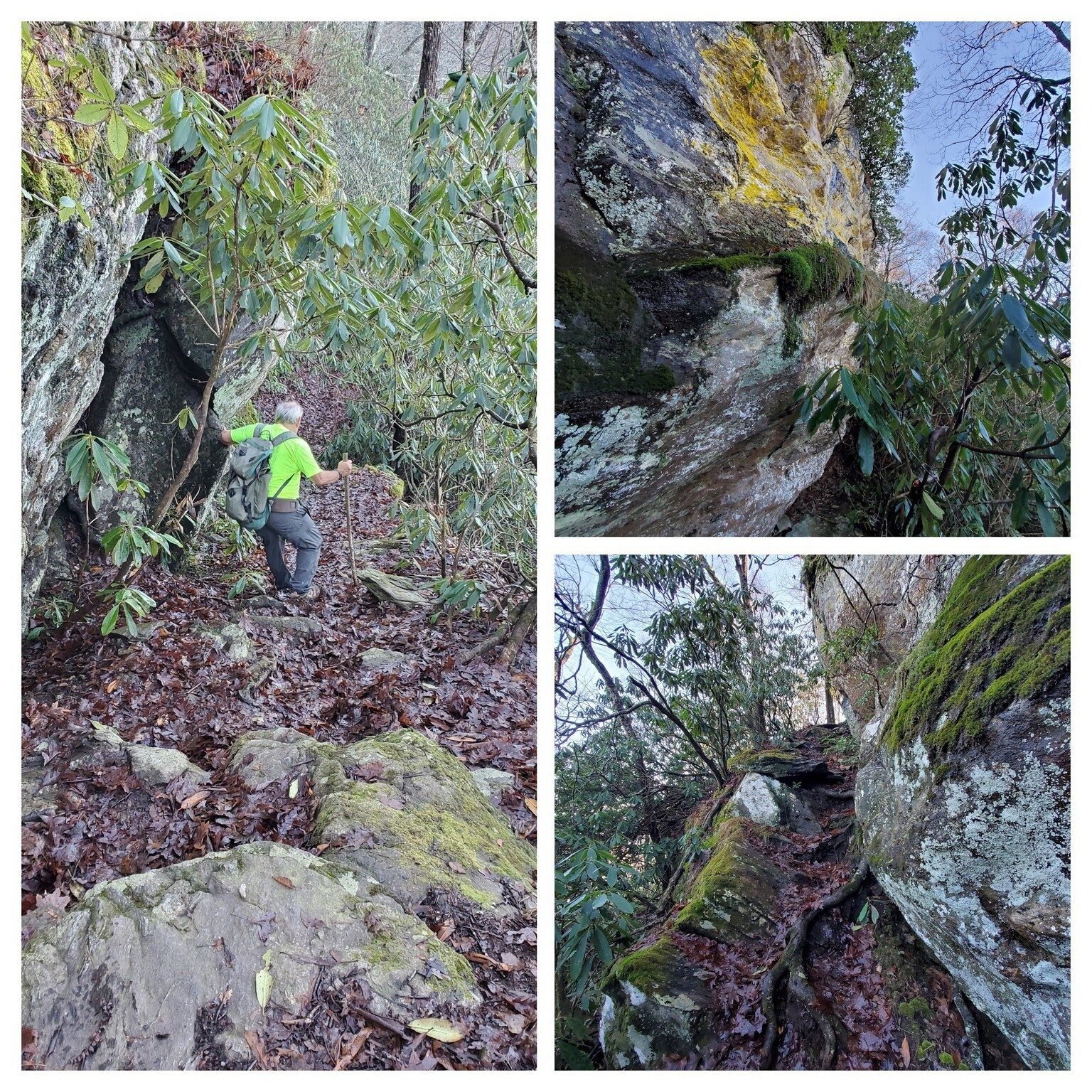 Roger descending along an interesting rock wall with moss on the bottom and yellow lichen above.