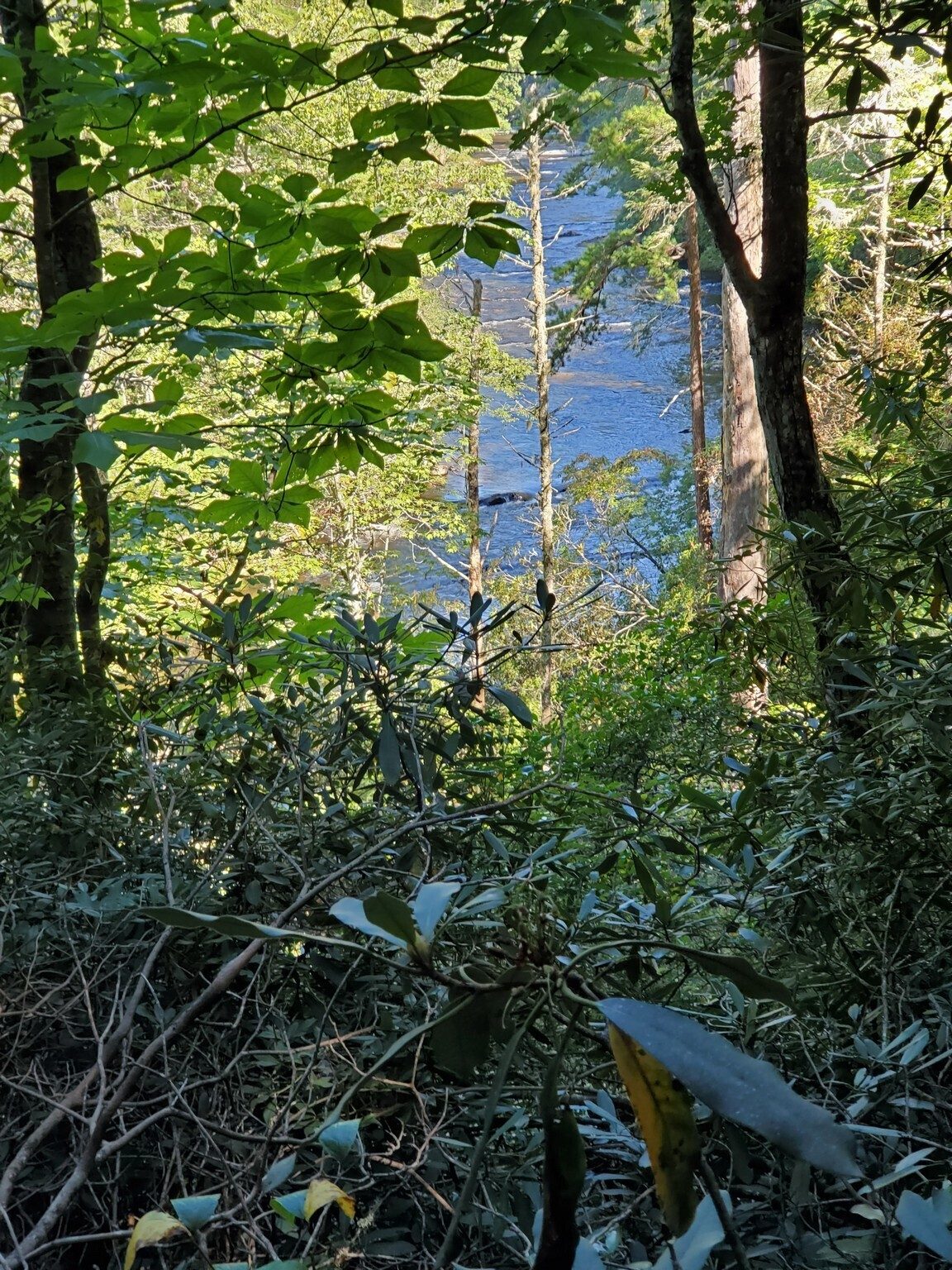 Our first glimpse of the Chattooga River . . . a bit tough to get a full view with some exceptions.