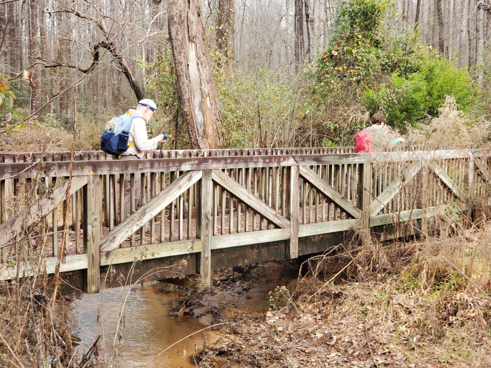 Nice bridge heading out of the beaver dam area.