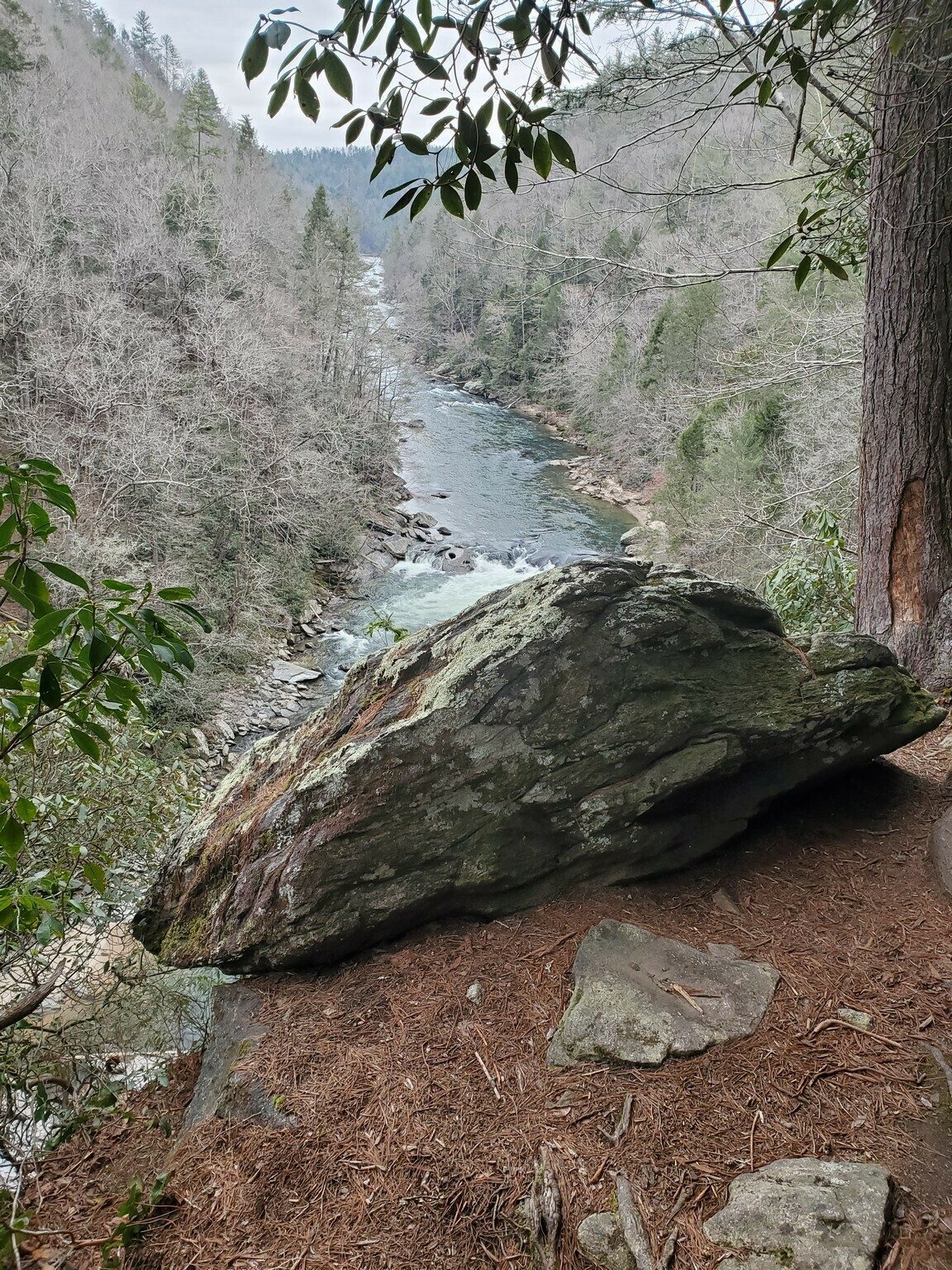 The first feature, Raven's Cliff provided a great view up and down the Chatooga River.