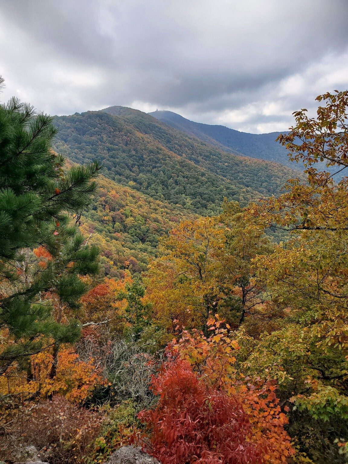 Another view of Brasstown Bald from the overlook.