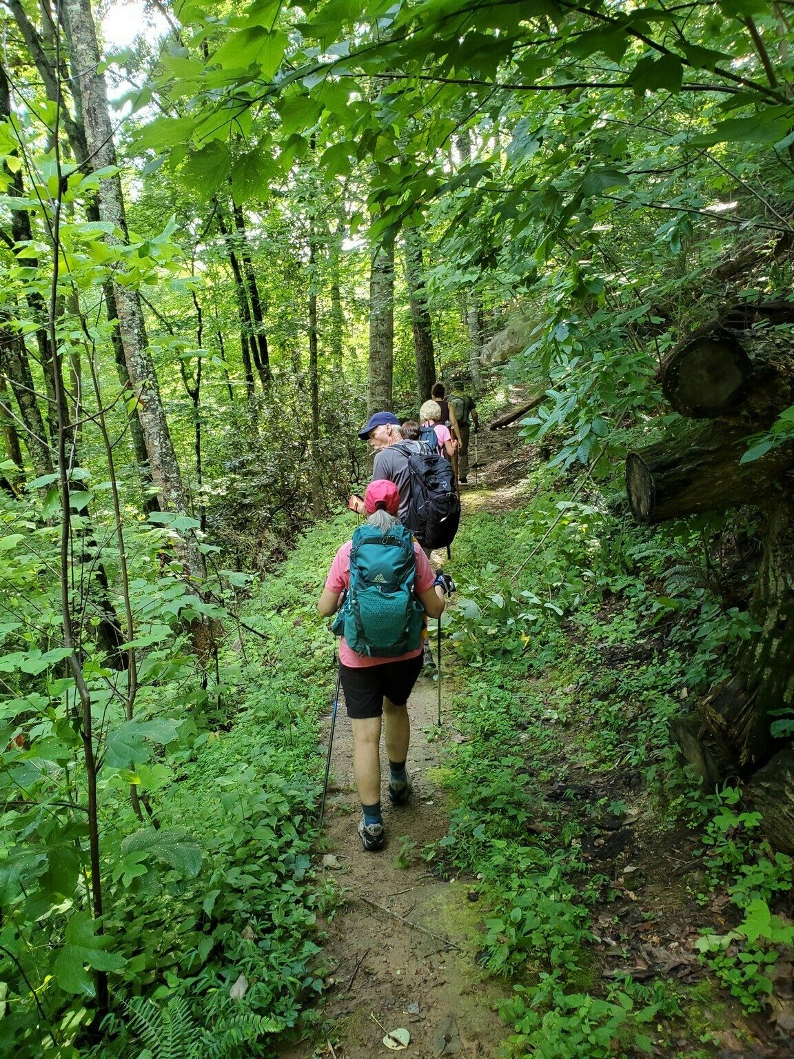 Getting started on the Benton MacKaye Trail.