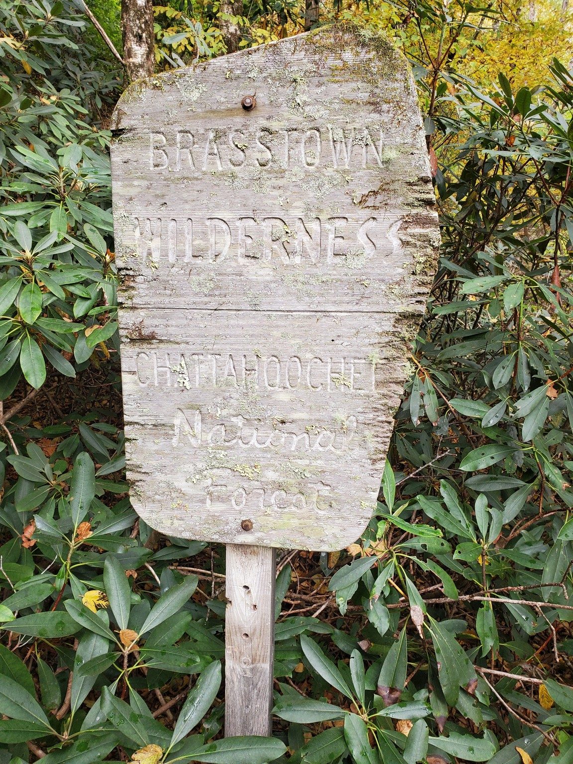 Most of the trail is in the Brasstown Wilderness except the last 1.3 miles.