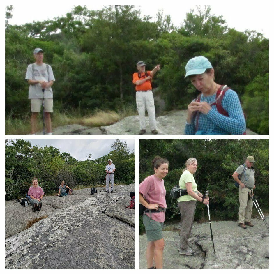 A few pics of our hikers on the overlook at the top of Scaly Mountain.