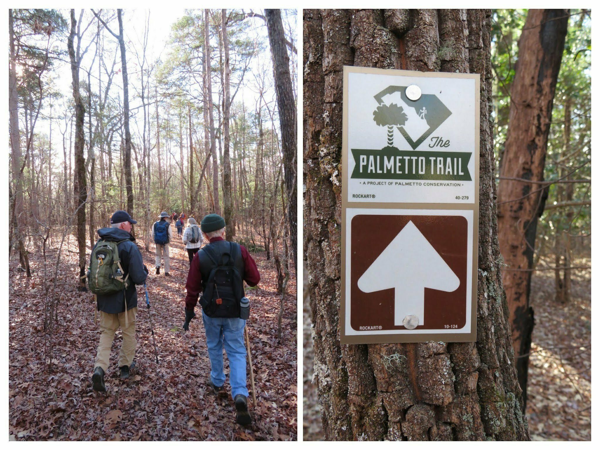 Getting started on the Palmetto Trail leading to the Hidden Falls Trail.