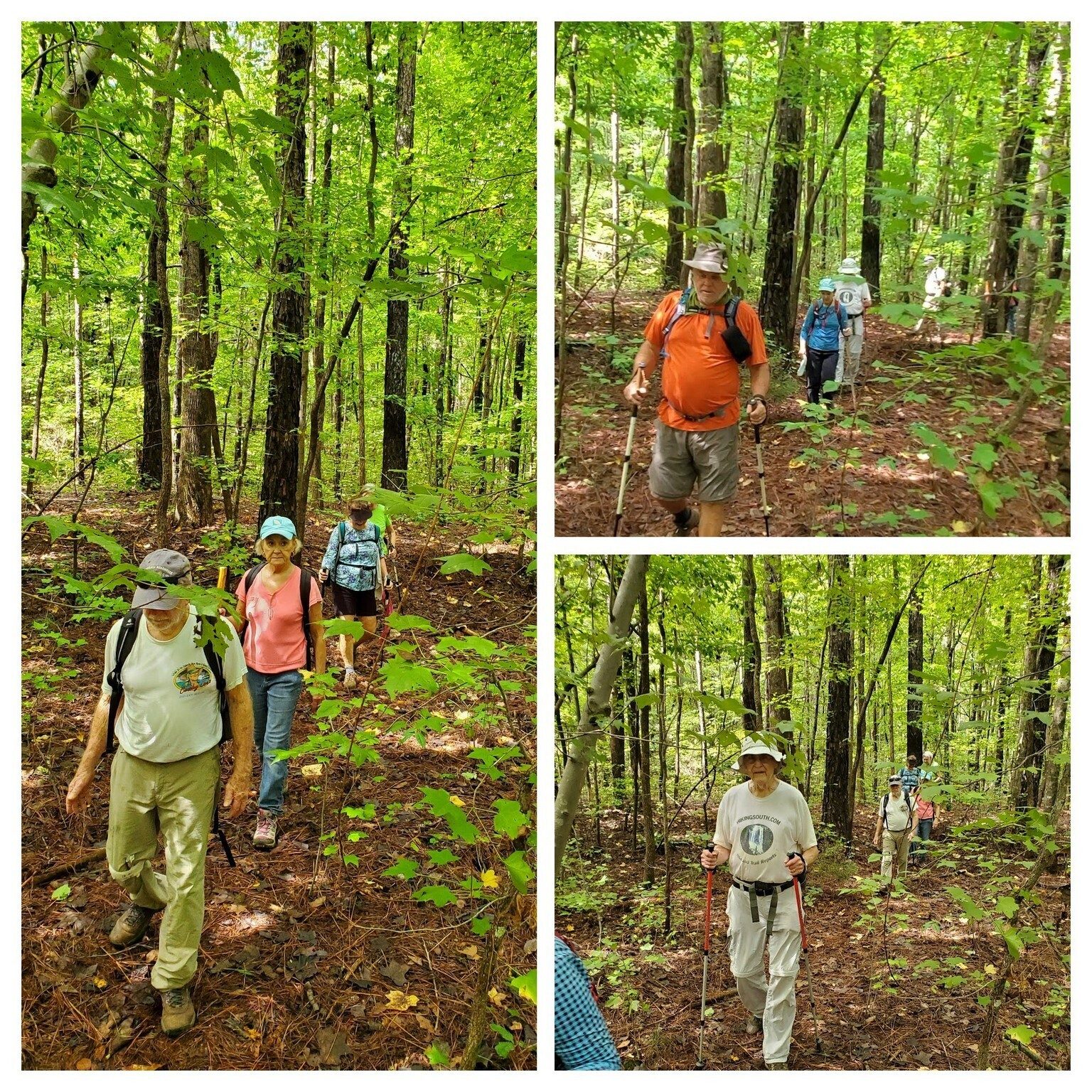 Doing a little bushwhacking today even though it may not look like it.