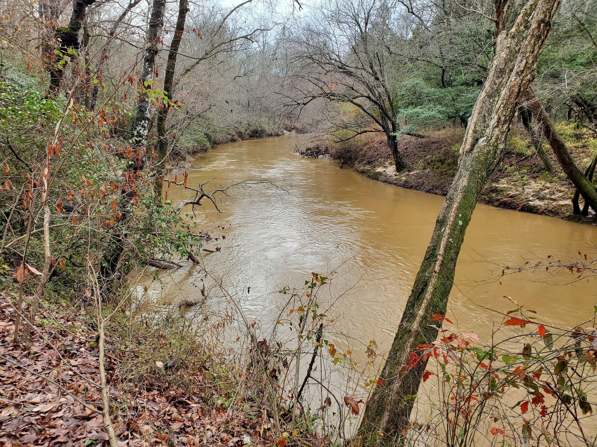 The Broad River was quite muddy from the recent rains.