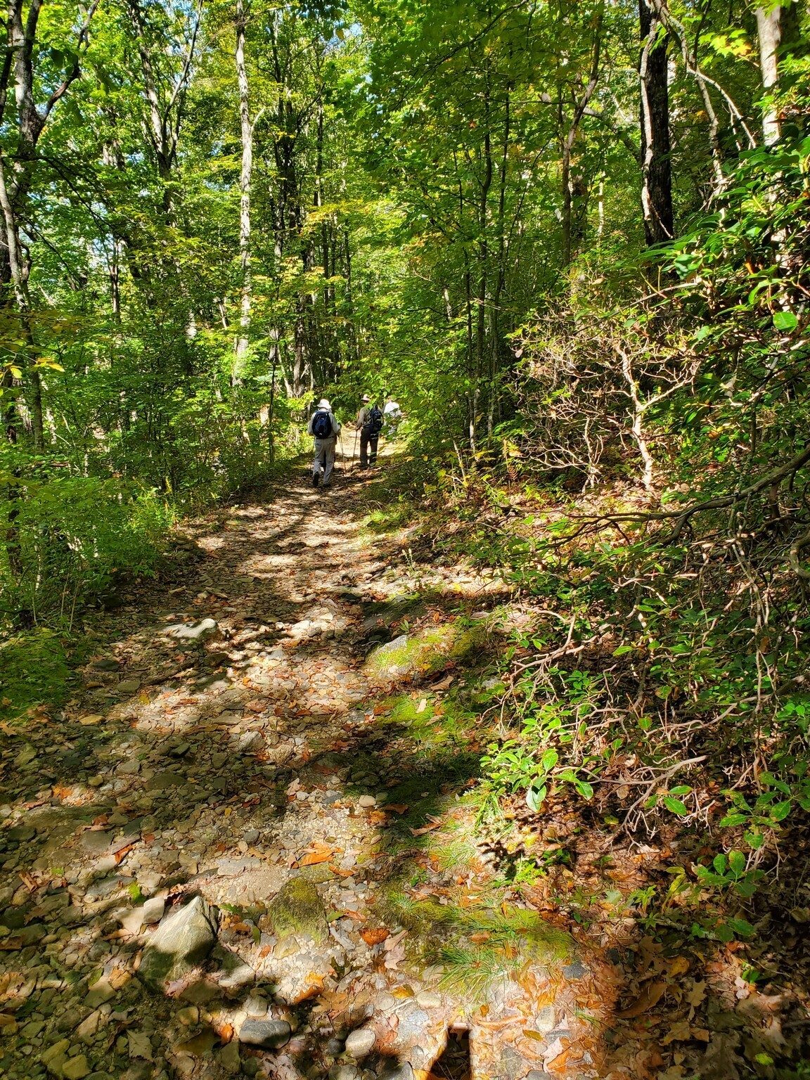 Trail conditions going down the Rabun Gap Road.