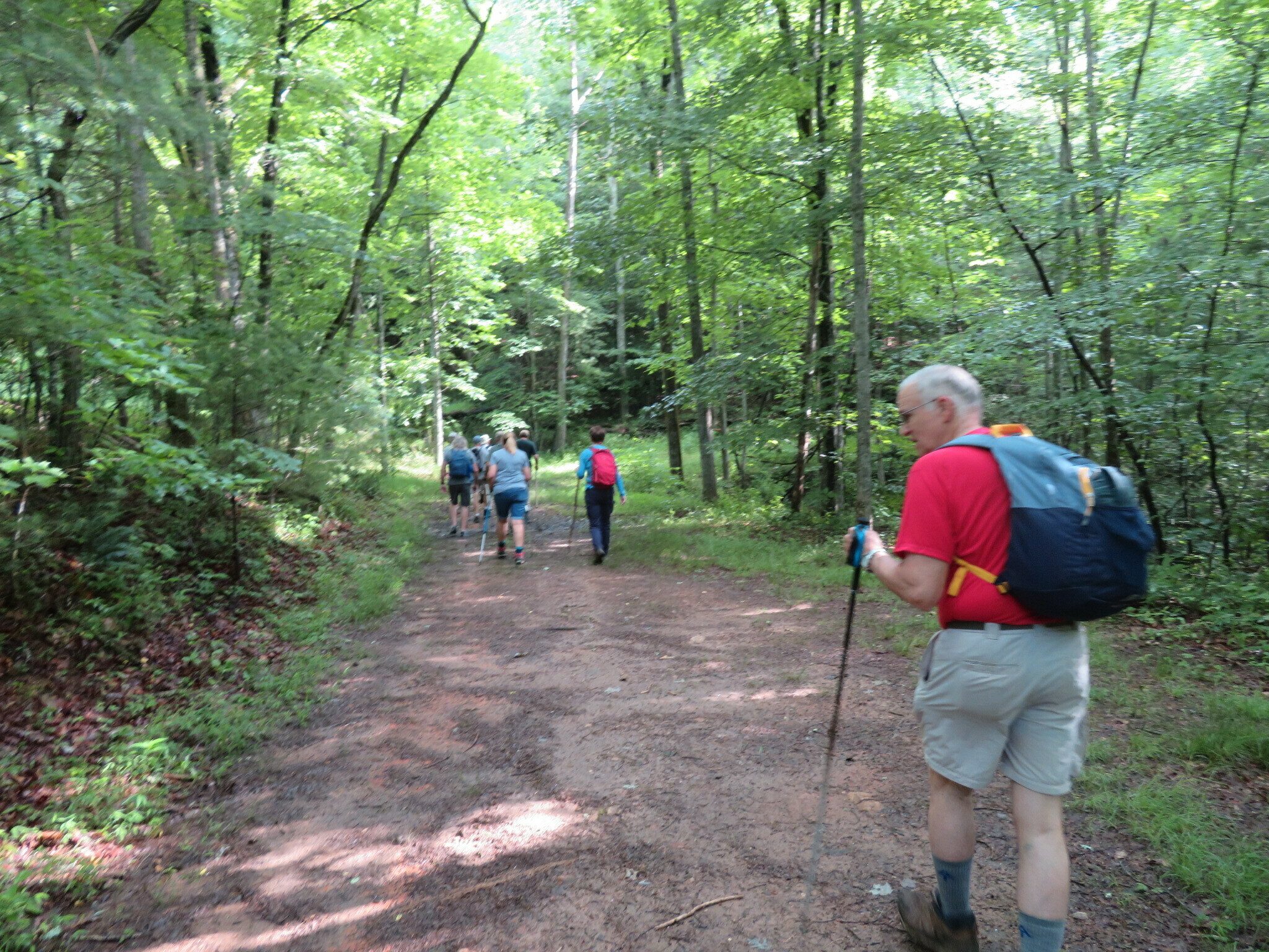 The initial path is along an old road bed now behind a closed Forest Service gate.