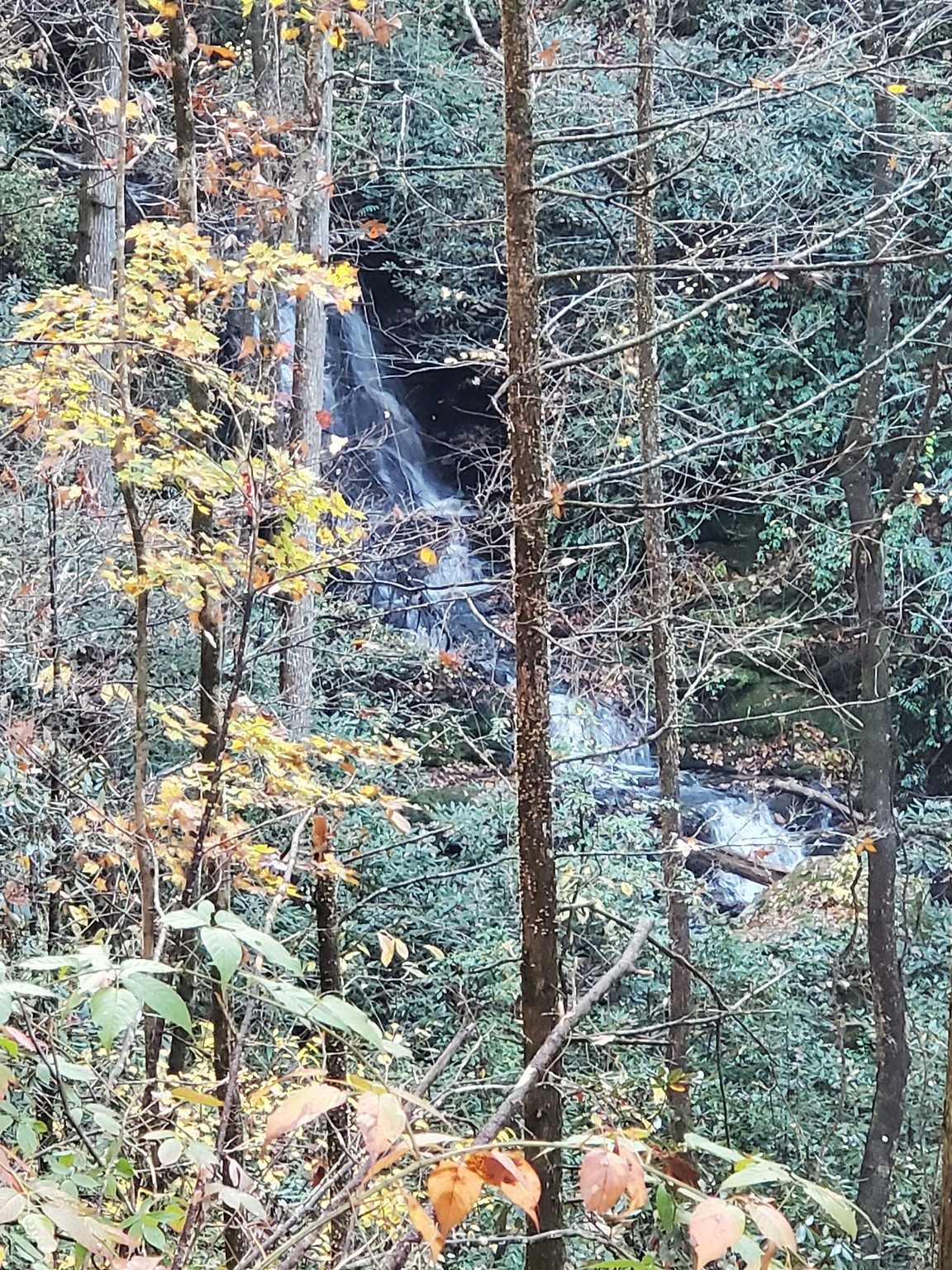 Along the way, we did hear and spot Camp Branch Falls, but couldn't see a good way to get closer.  This joins Opossum Creek later on.