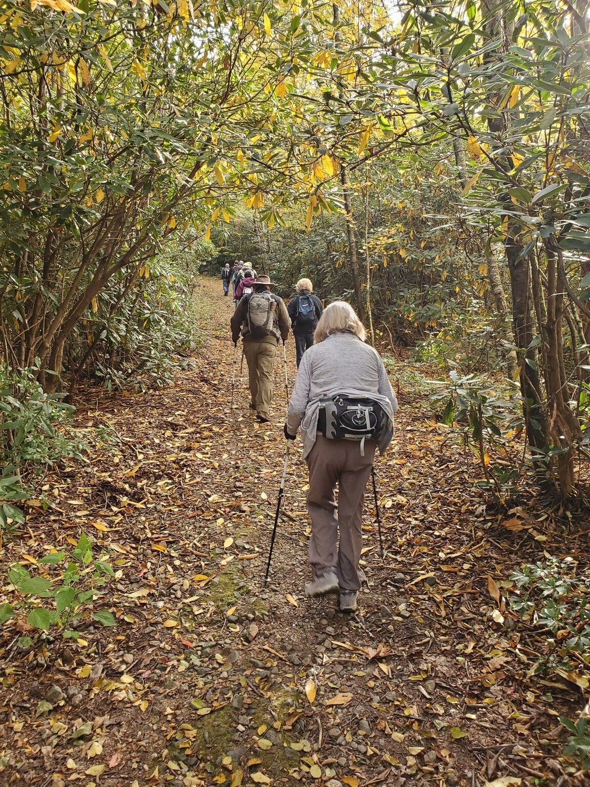 Just a bit of uphill to start with.  Nice trail though.
