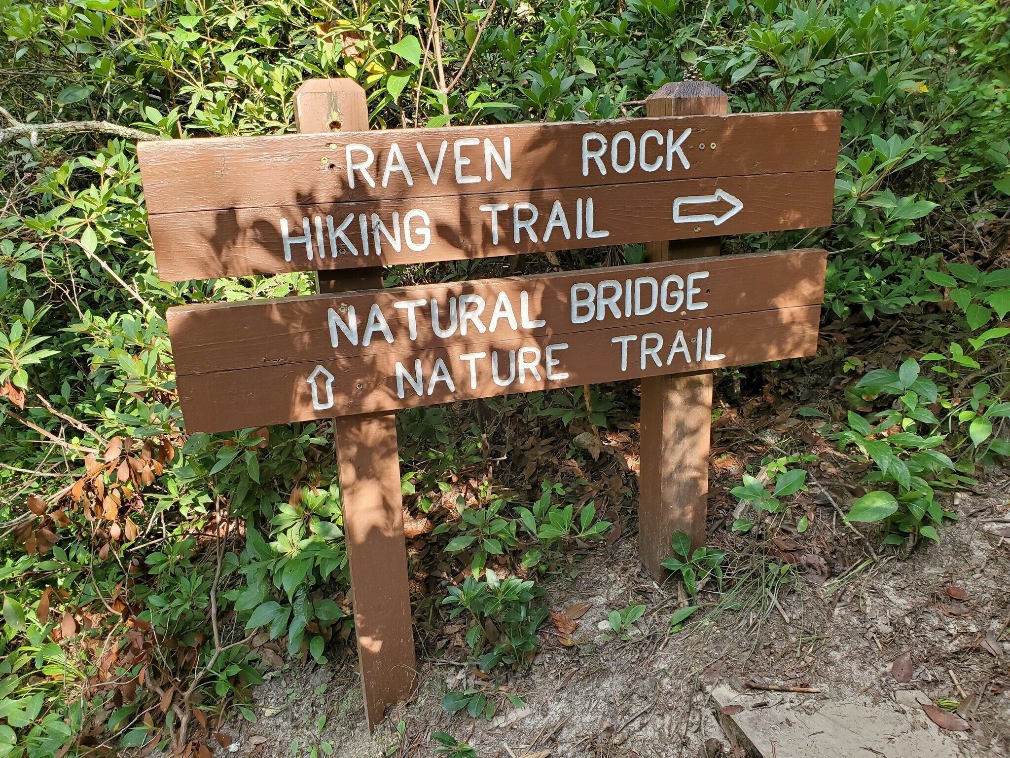We hiked two separate loops.