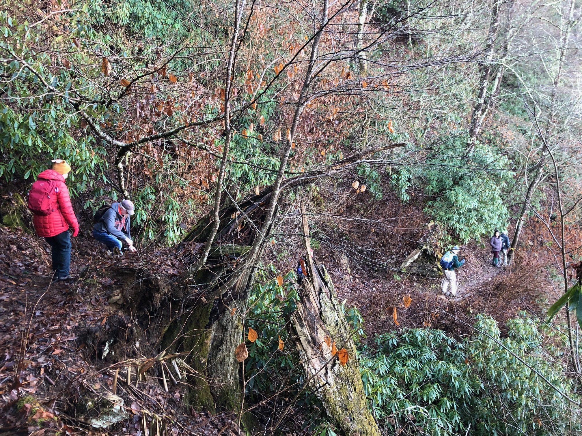 A good view of the washed out section.
