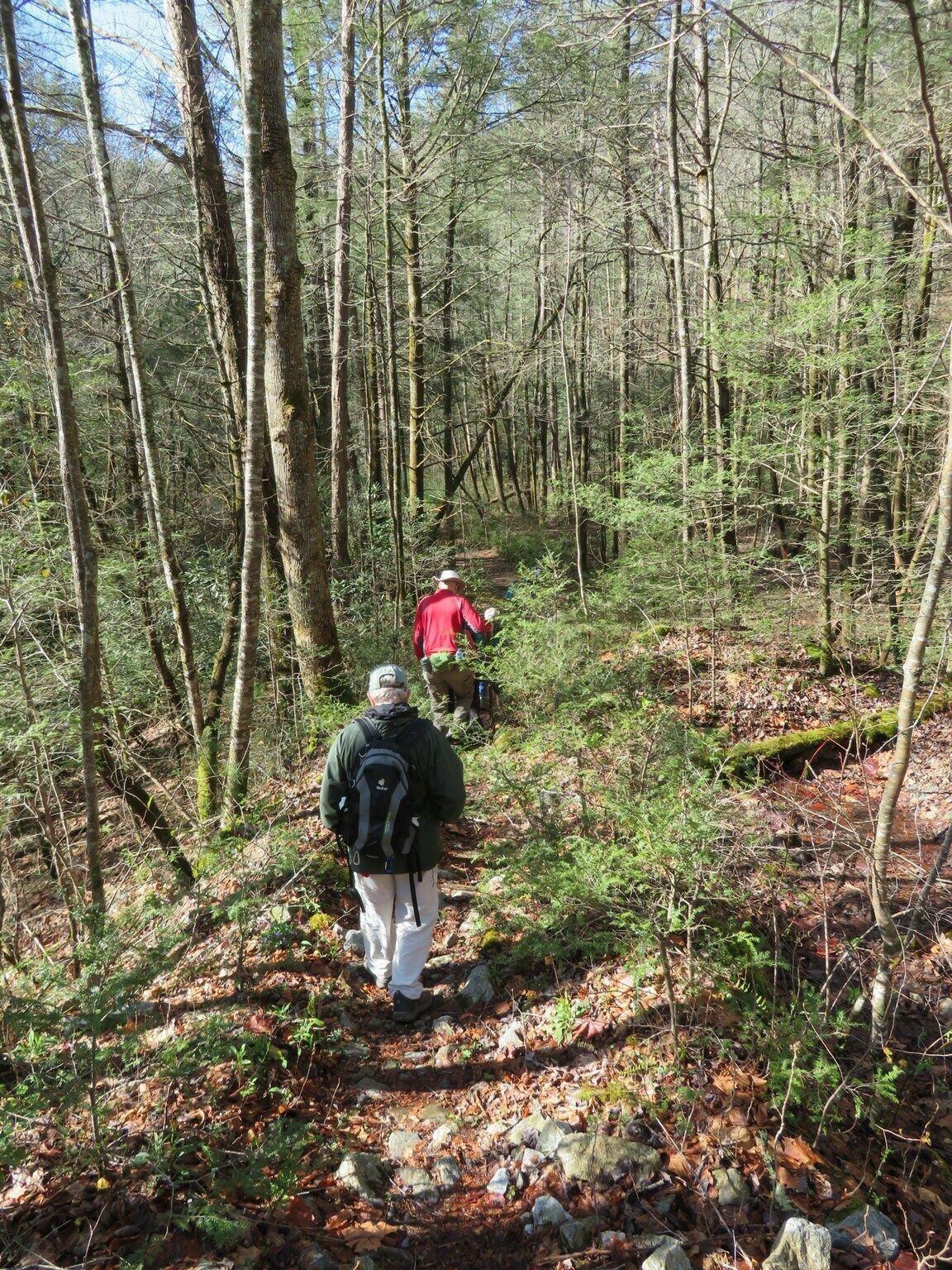 This is the access trail we took off of GA Hwy 348 when we were unable to safely cross Dukes Creek where the bridge was out.