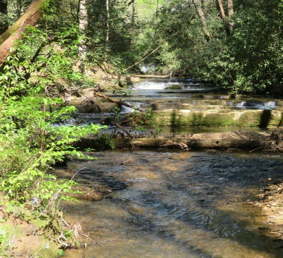 Would be nice if we could safely walk further up Turner Creek to view more rapids.