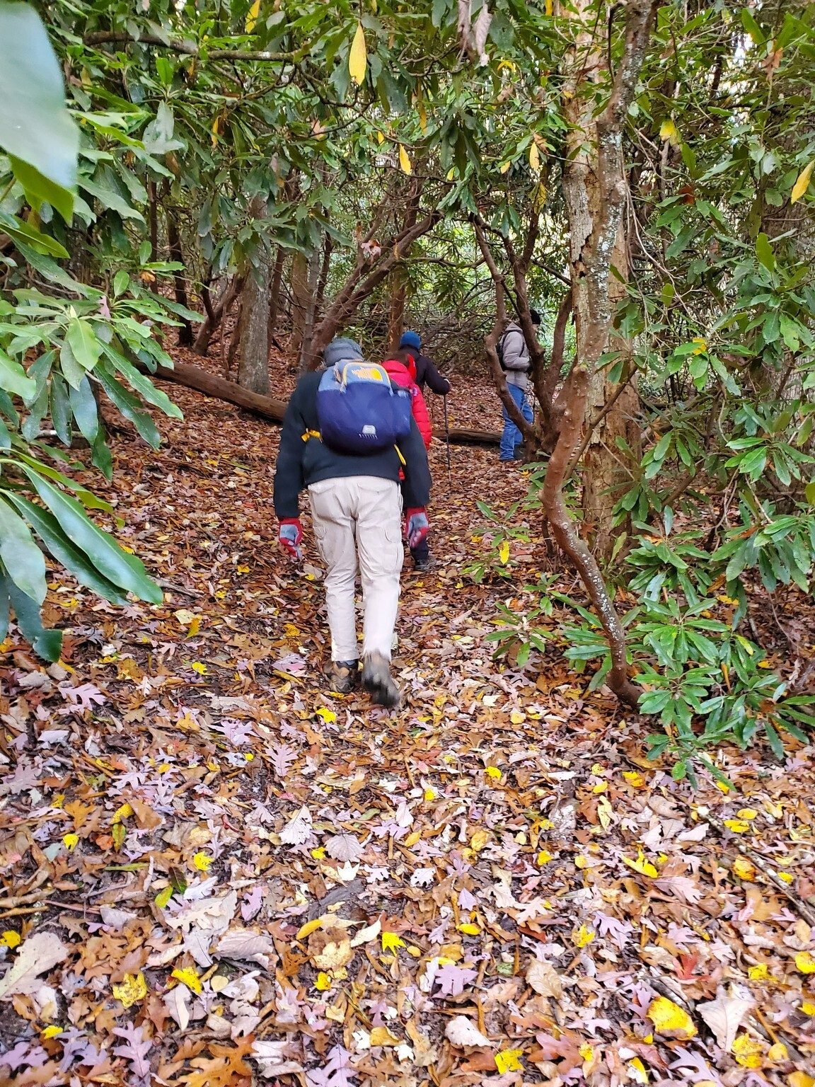 The first part of the Springhouse Trail has a number of short, steep inclines..