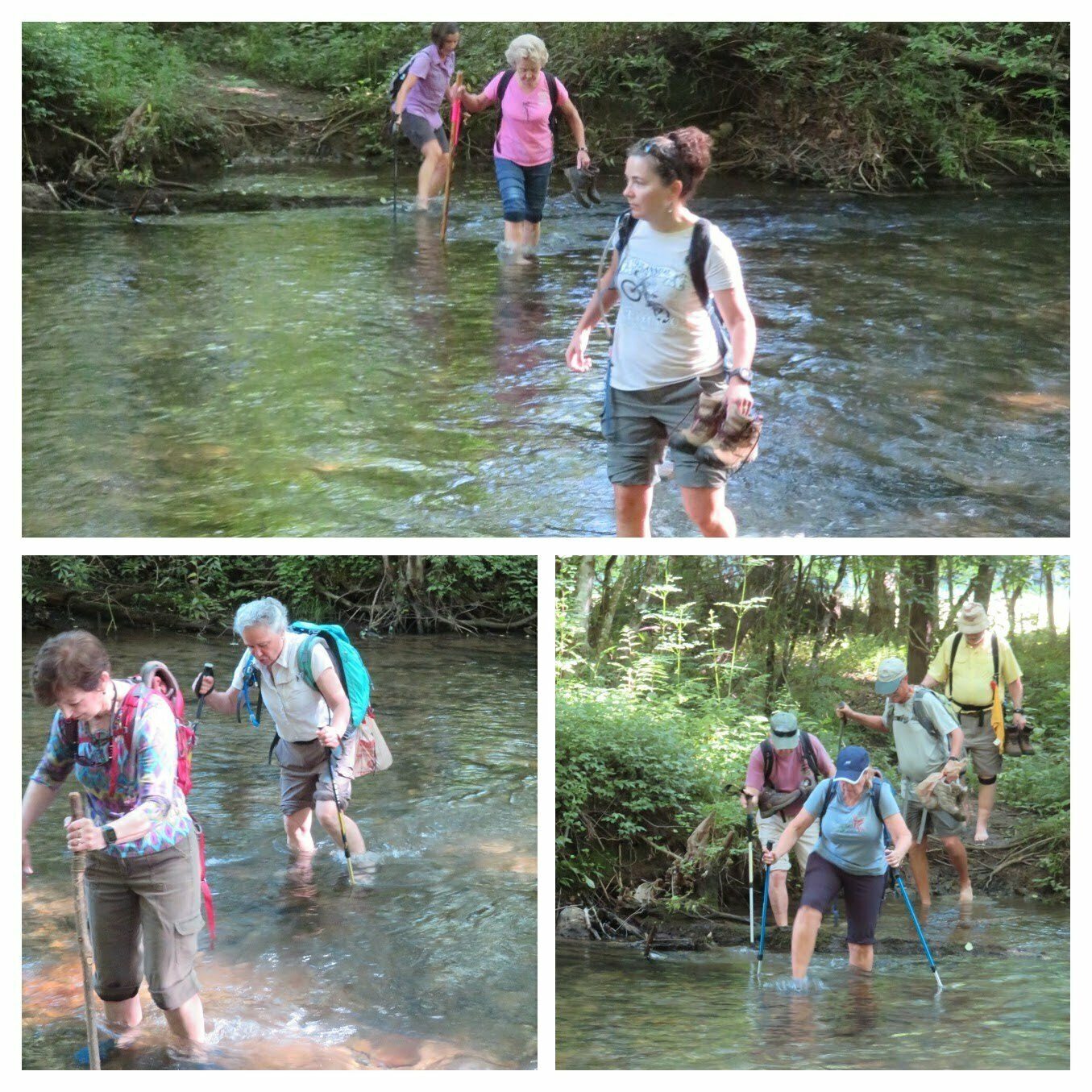Crossing Dukes Creek.  You put your right foot in . .  . and you shake it all about!
