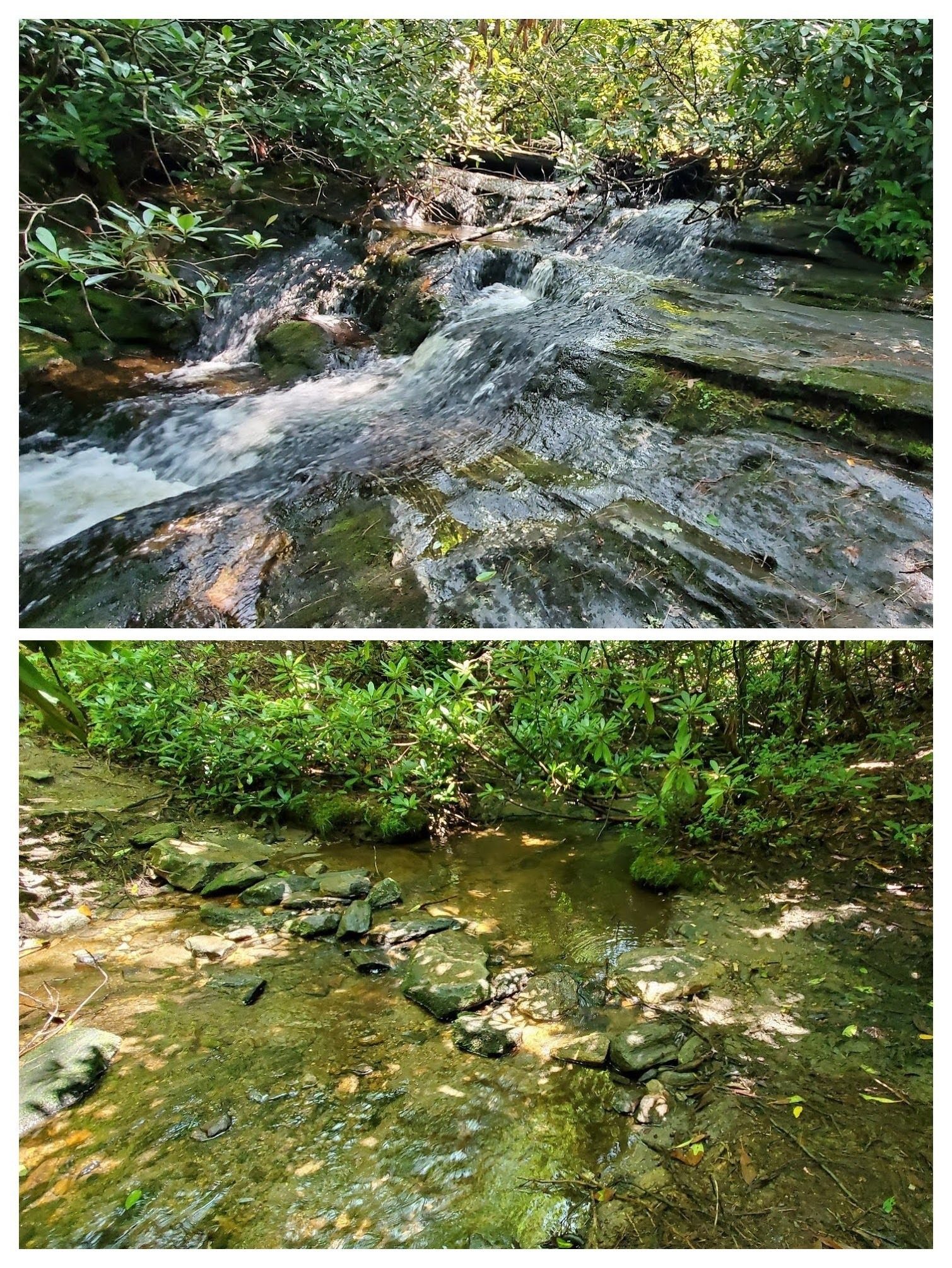 Scenes along Skitty Creek which feeds Ranger Falls.