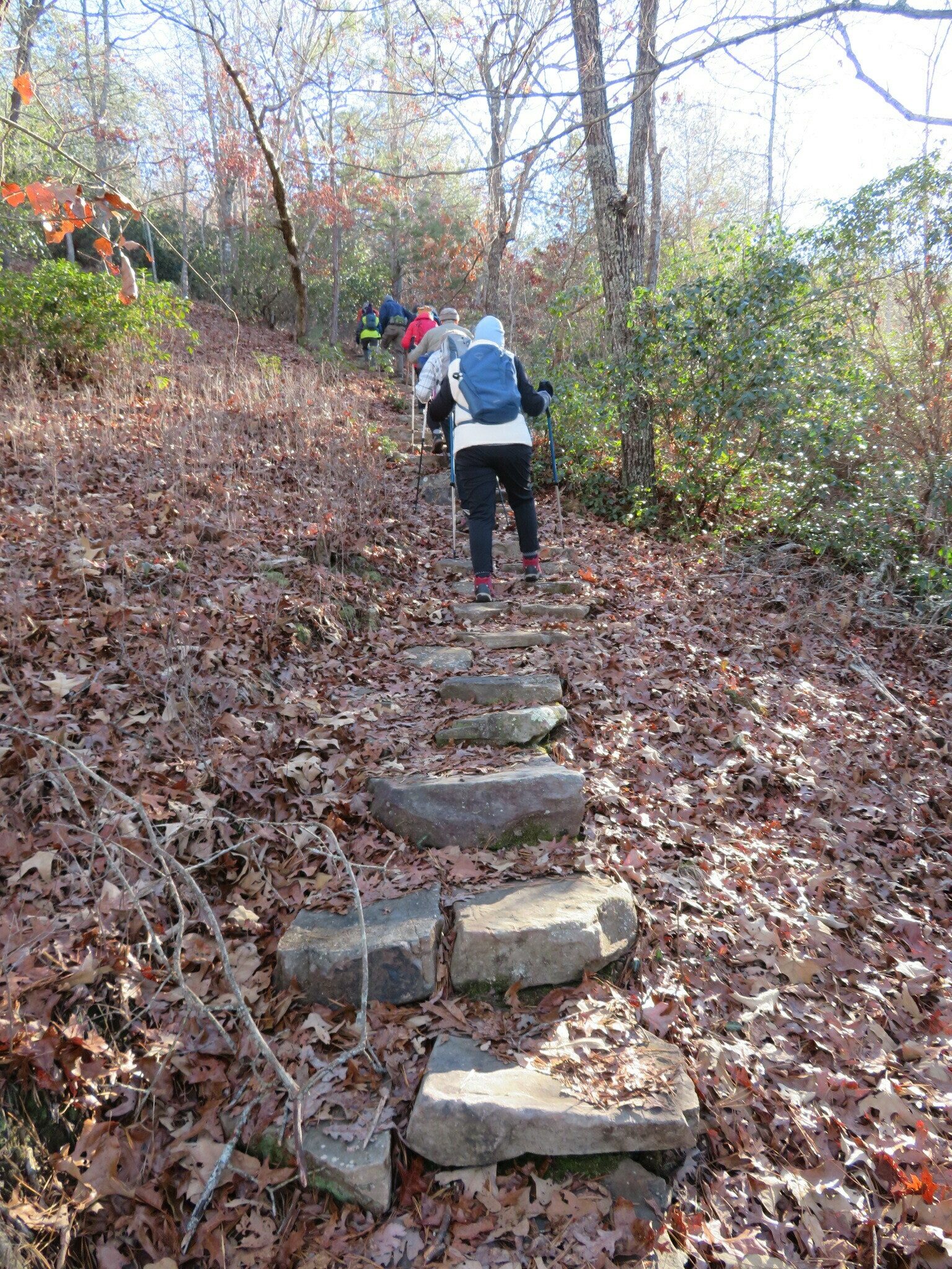 Nice set of rock steps at the trailhead.